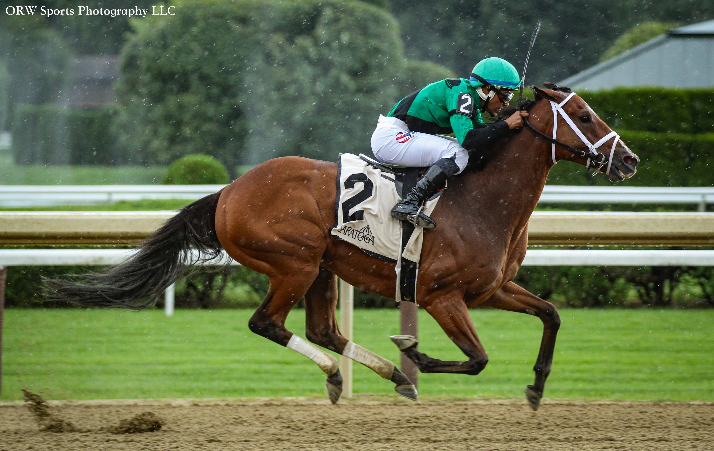 Contrary Thinking and Jose Ortiz 