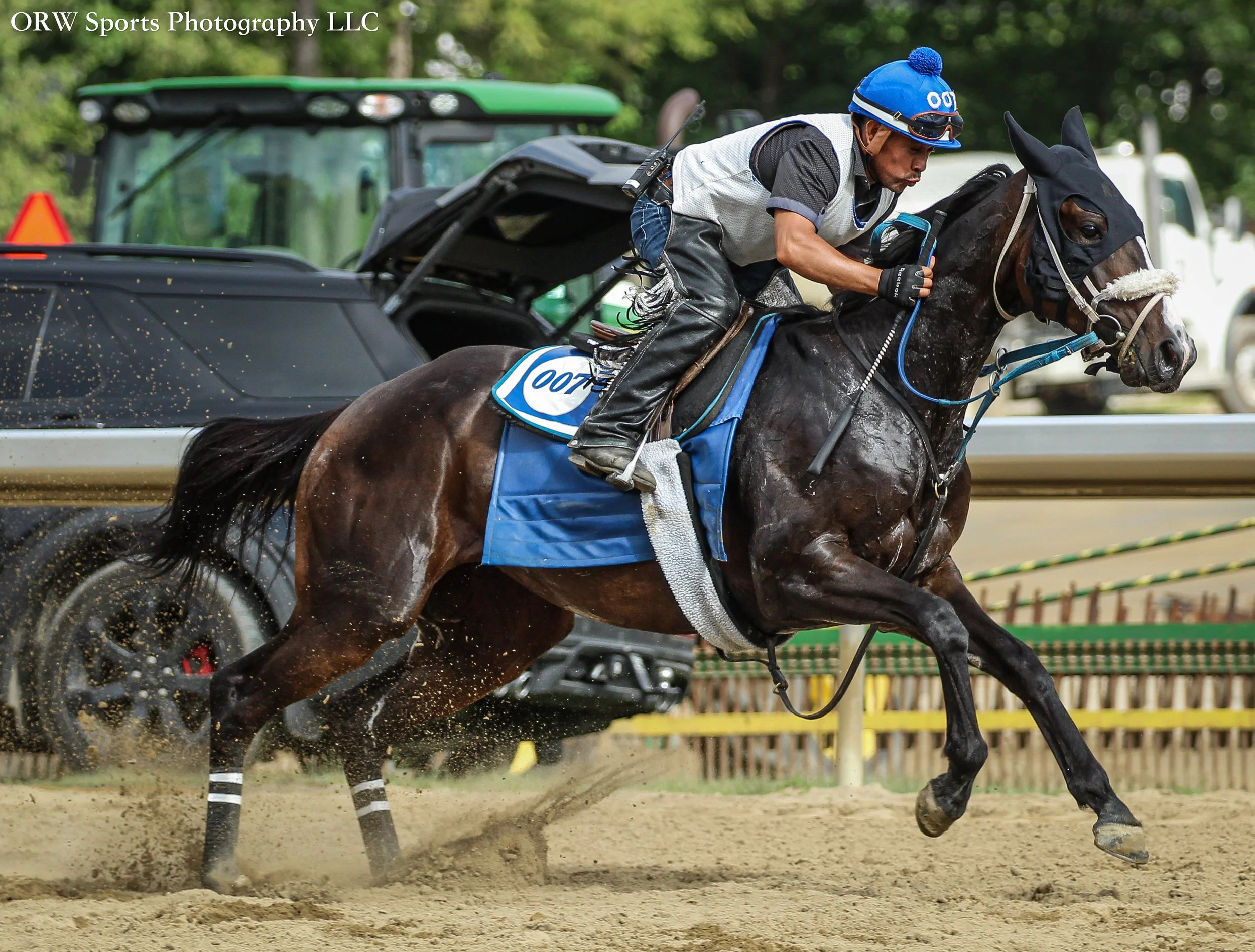 Amazing Gracer working from the gate