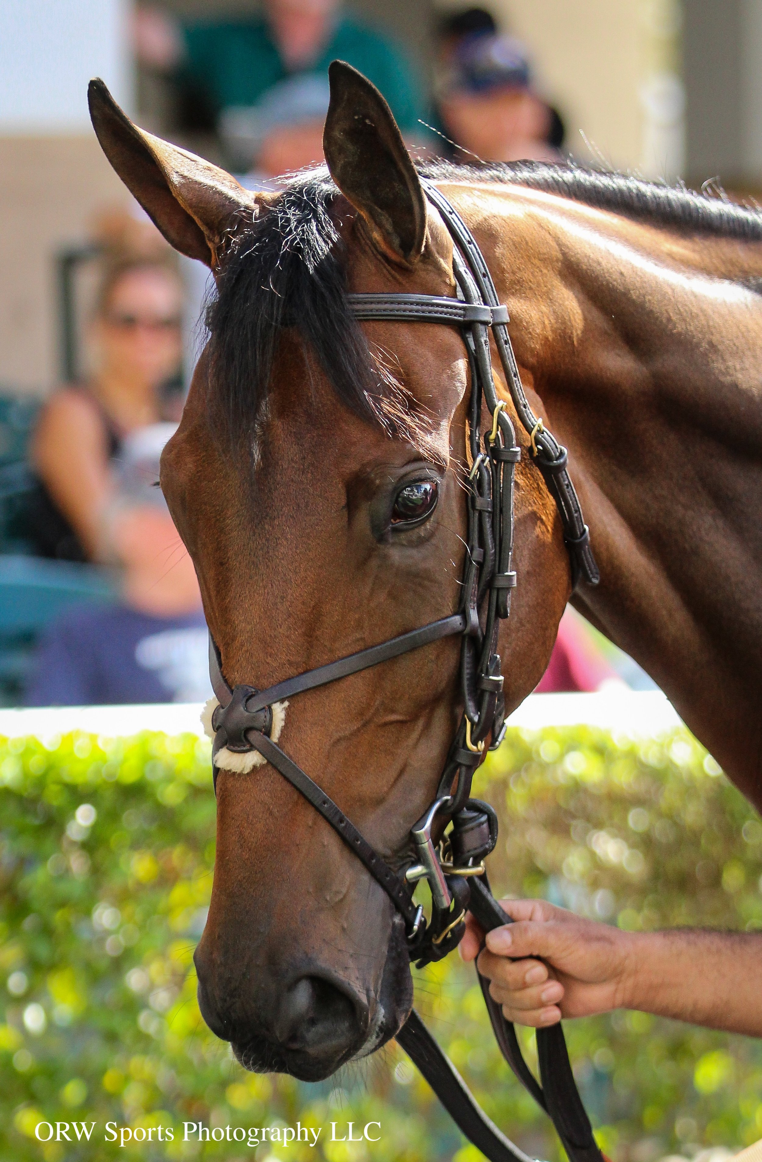 Dad's Two Sense (3).jpg