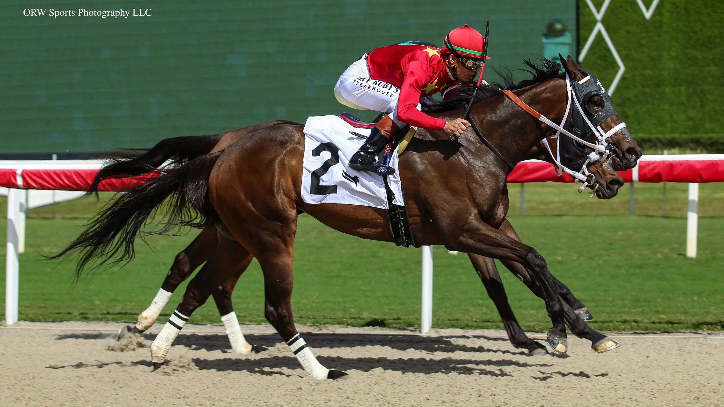 Bad Gal Party and Tyler Gaffalione 