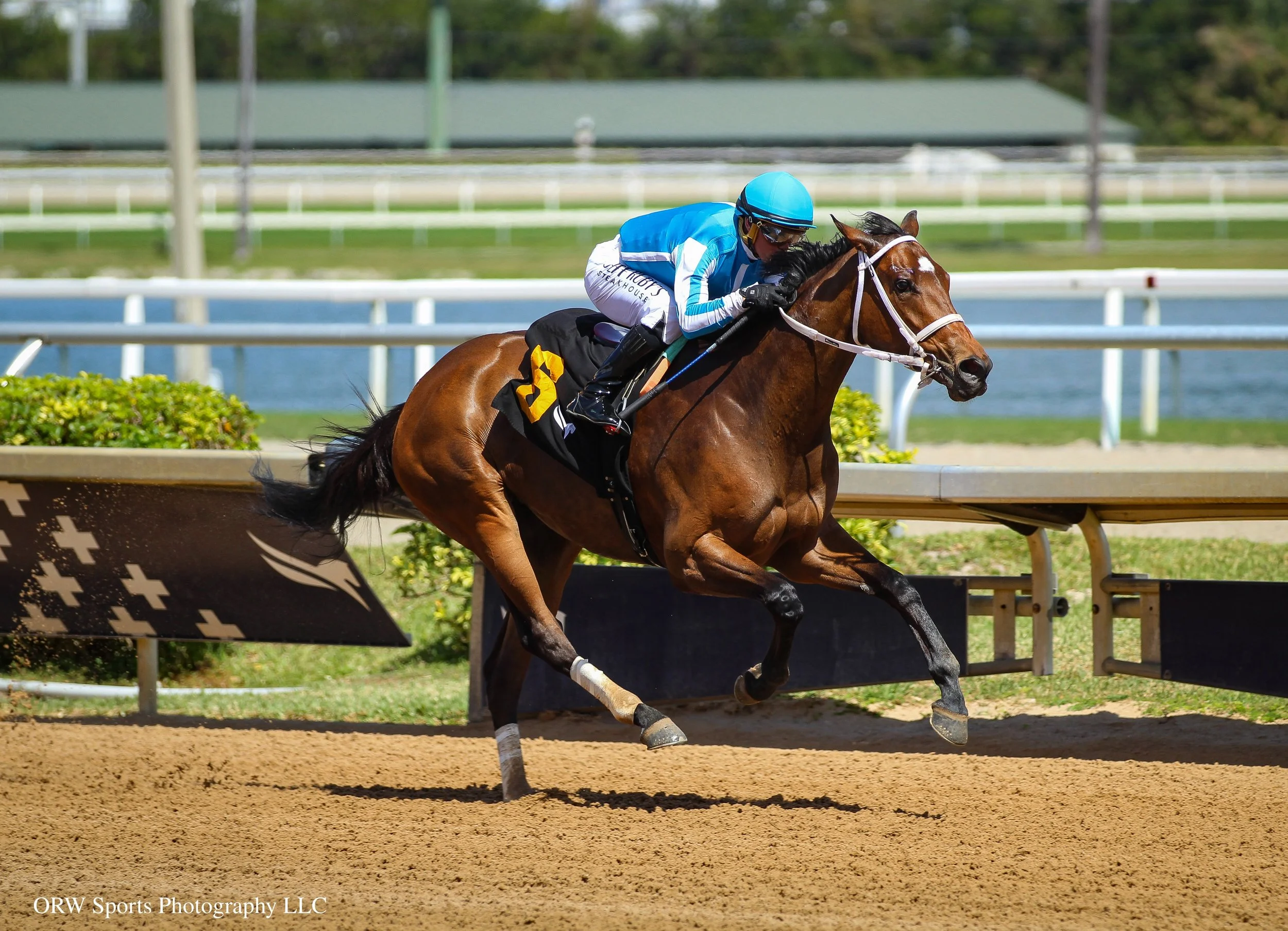 Alongcomesawoman and Javier Castellano 