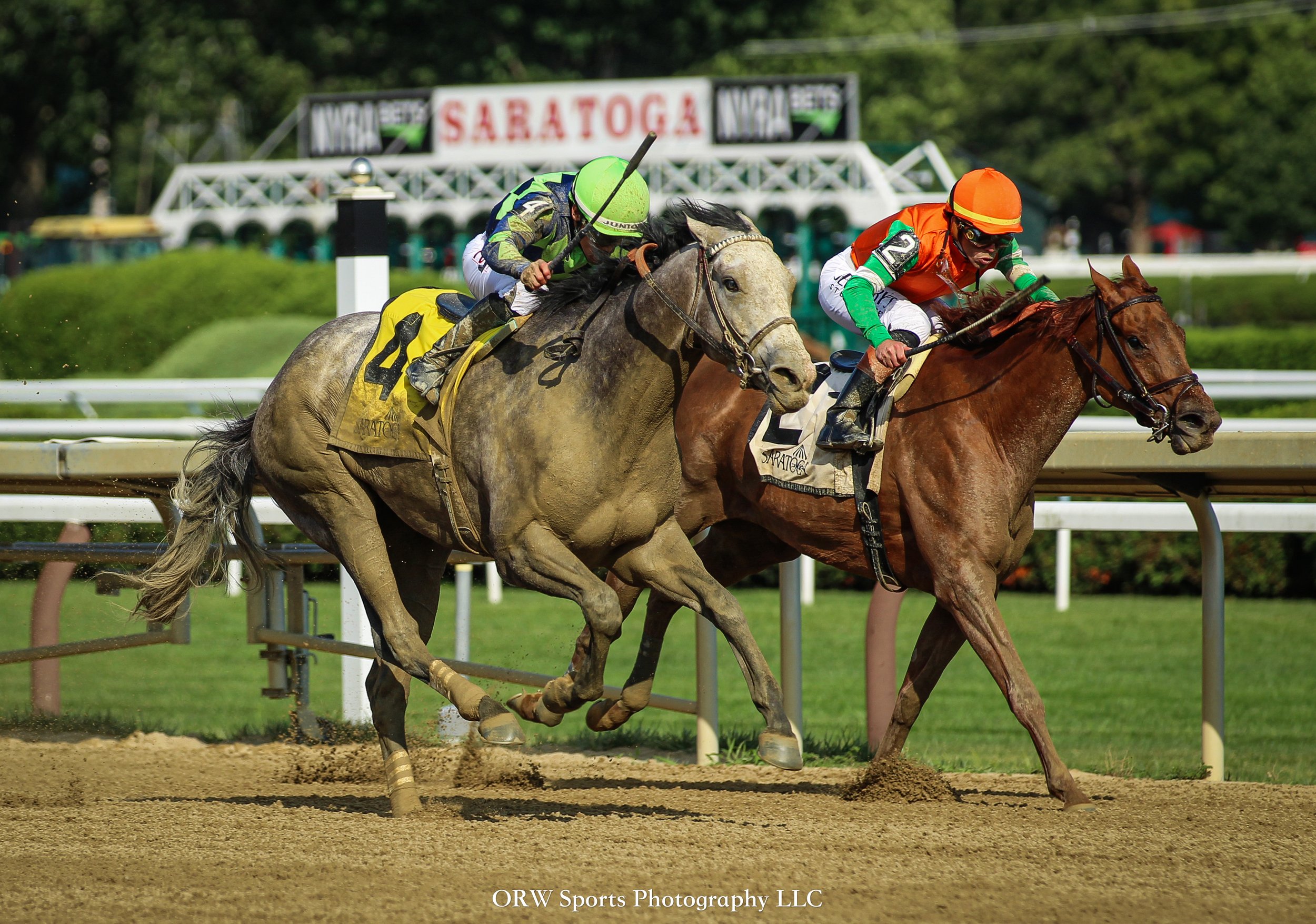 Beauty Reigns vs Senza Parole 