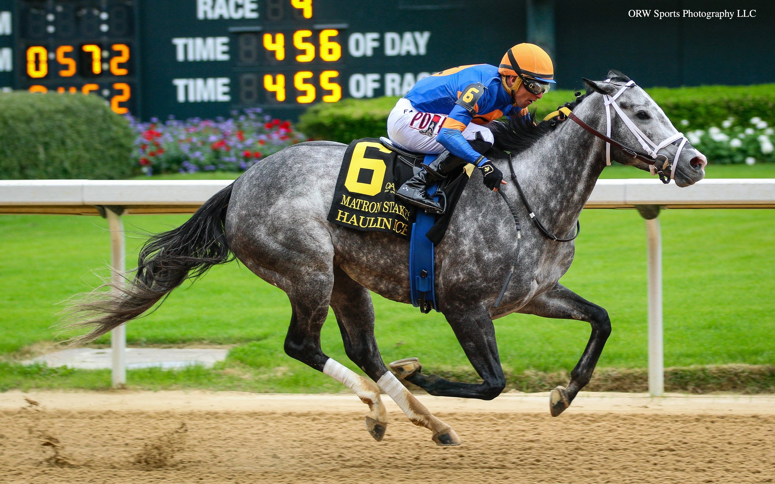 Haulin Ice and Francisco Arrieta take the Matron Stakes for trainer Saffie Jospeh Jr 