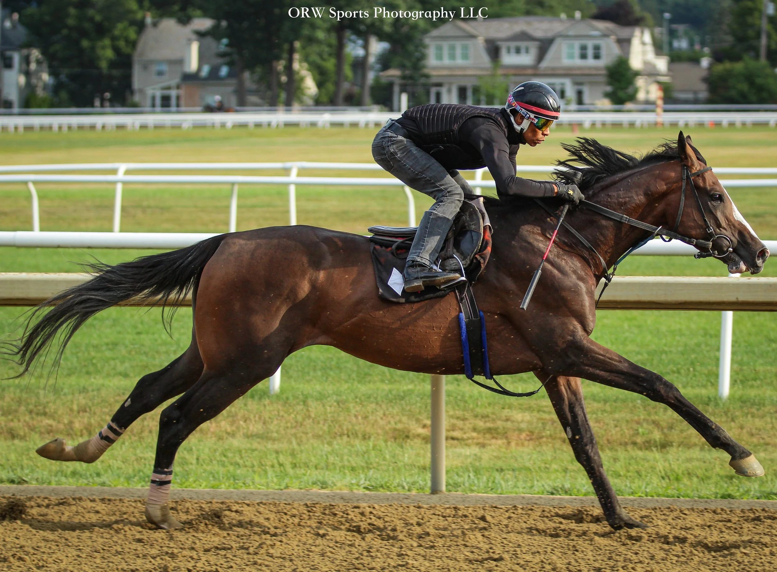 Ferraro Trainee