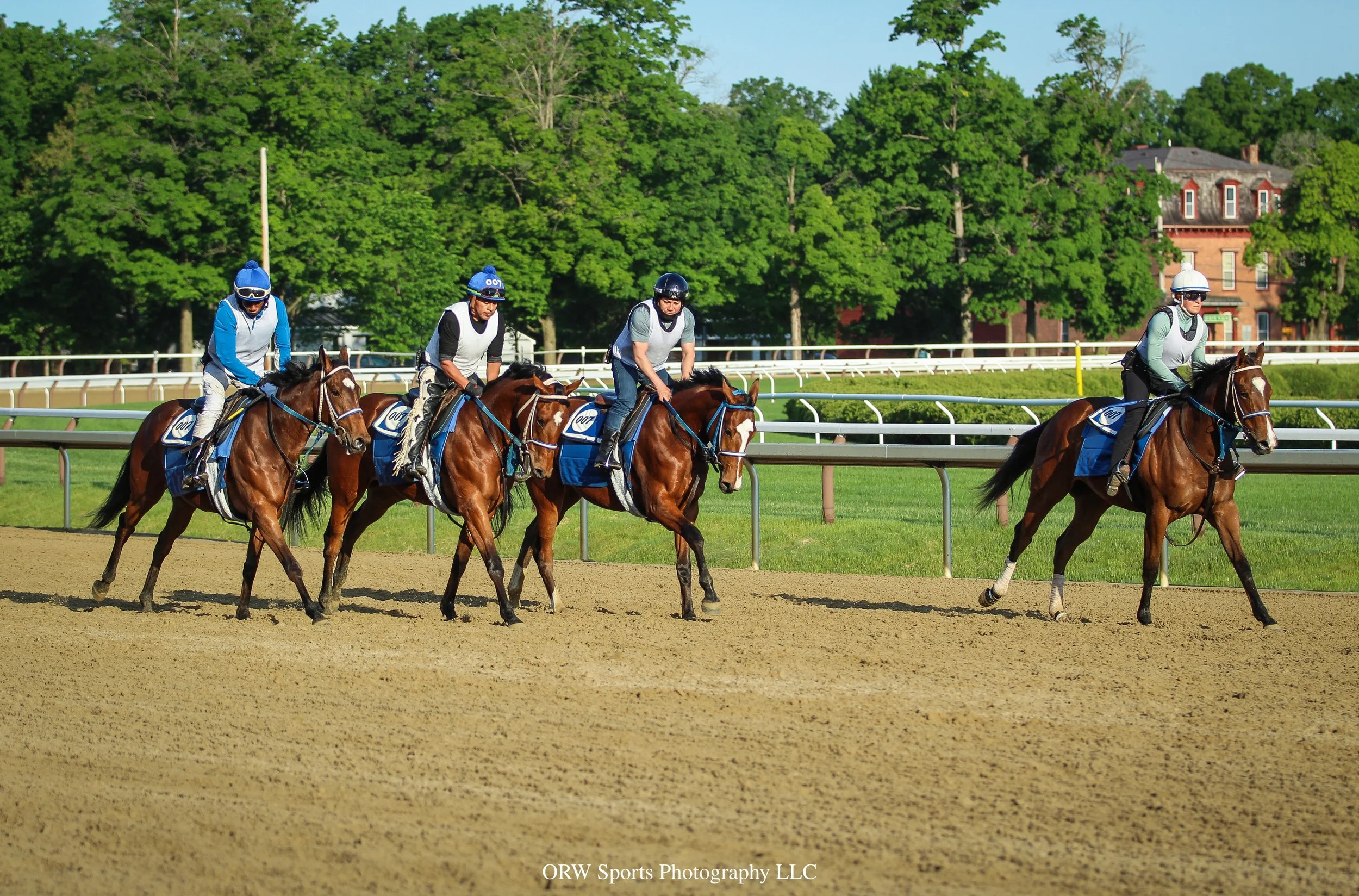 Aleste '24, Brandini '24, Normandy Lace, and Tiz Justice 