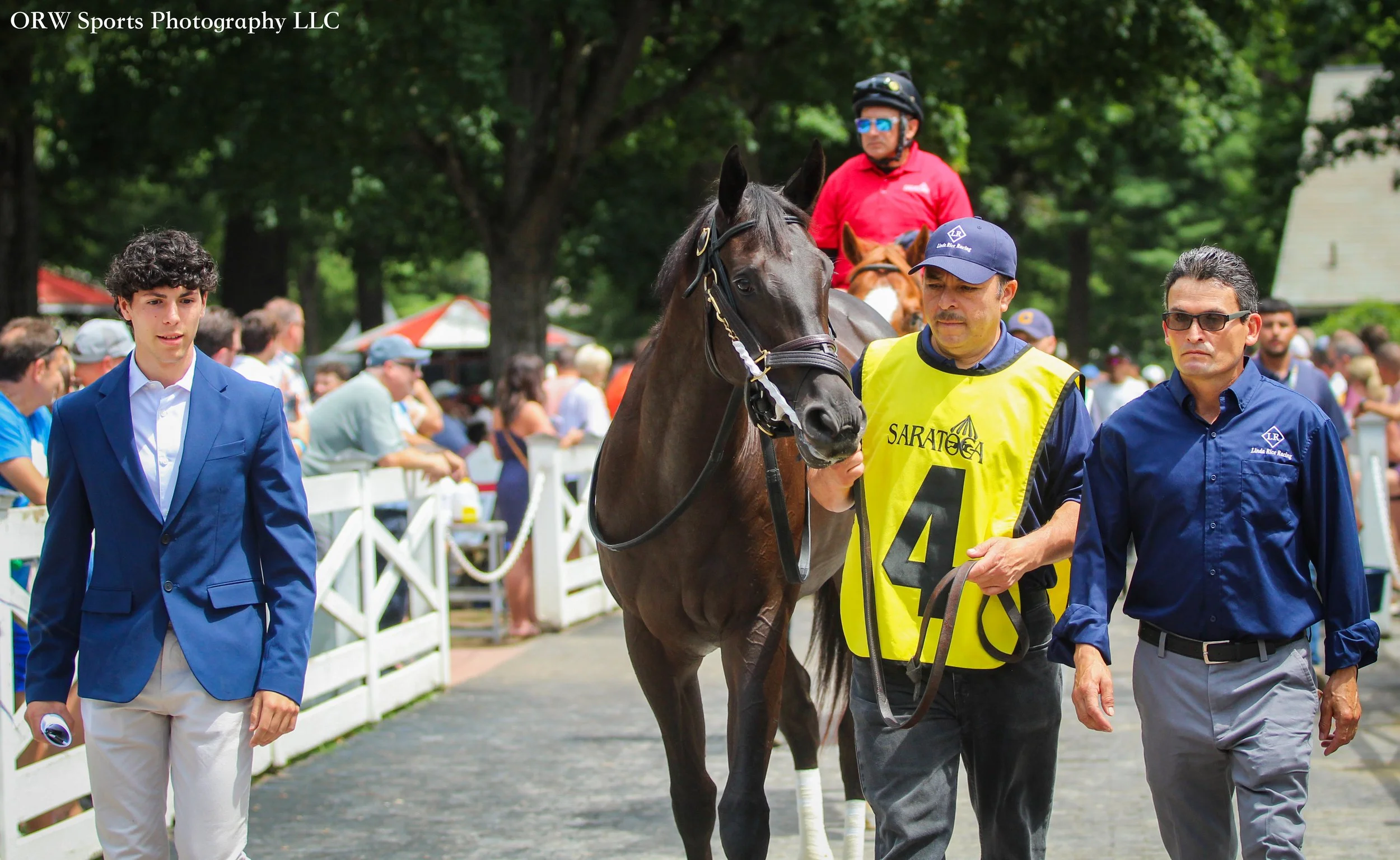 Velora enters the paddock for her debut. 