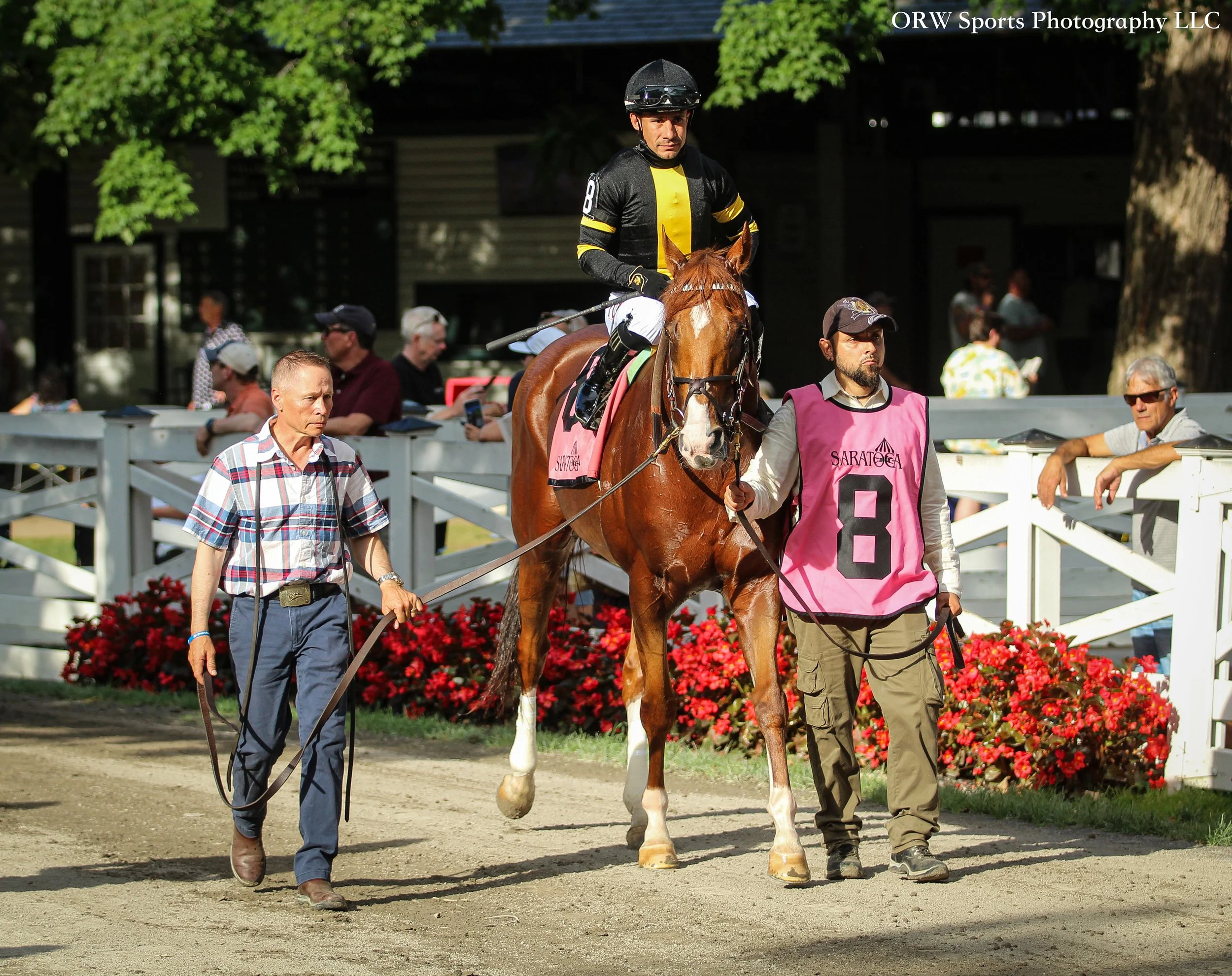 Bold Journey and Junior Alvarado 