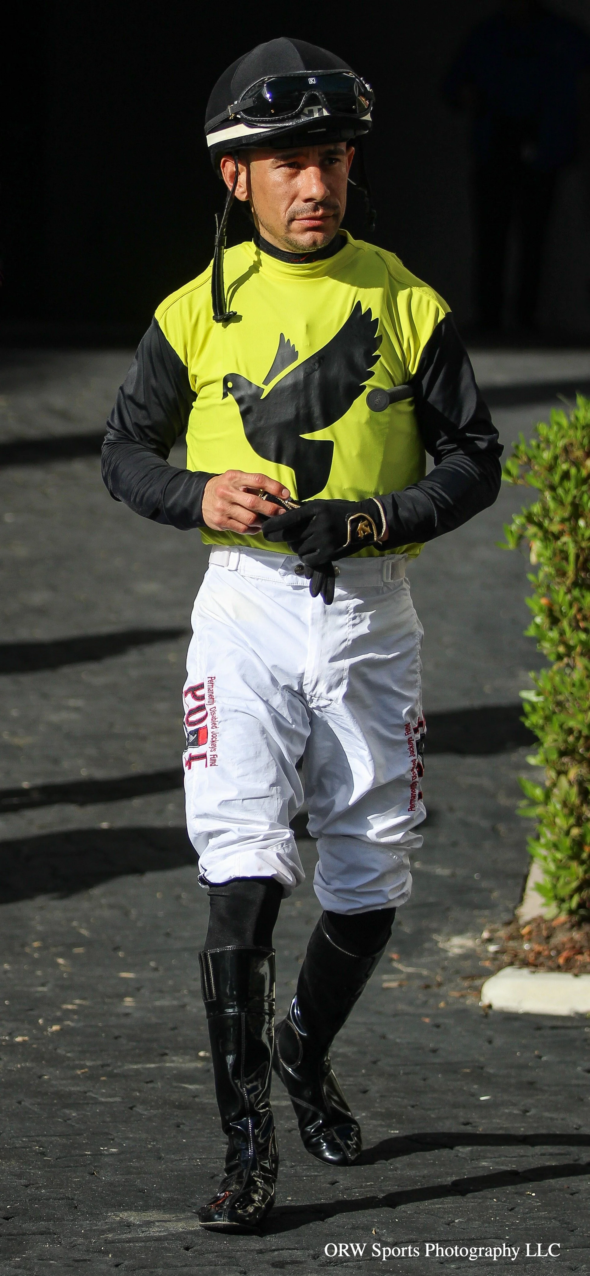 {JCree Throughbreds LLC} 