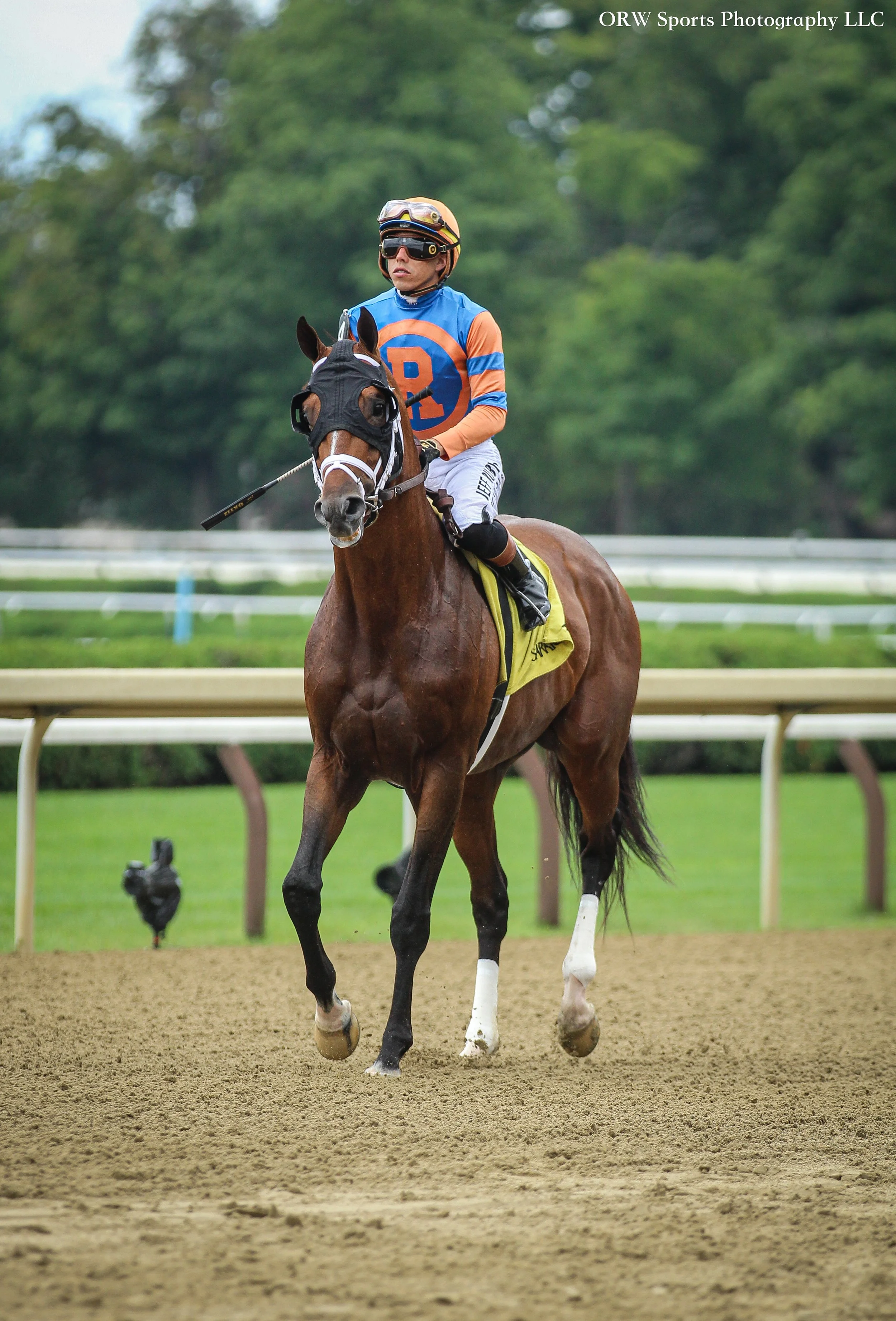 Vibe and Irad Ortiz Jr 