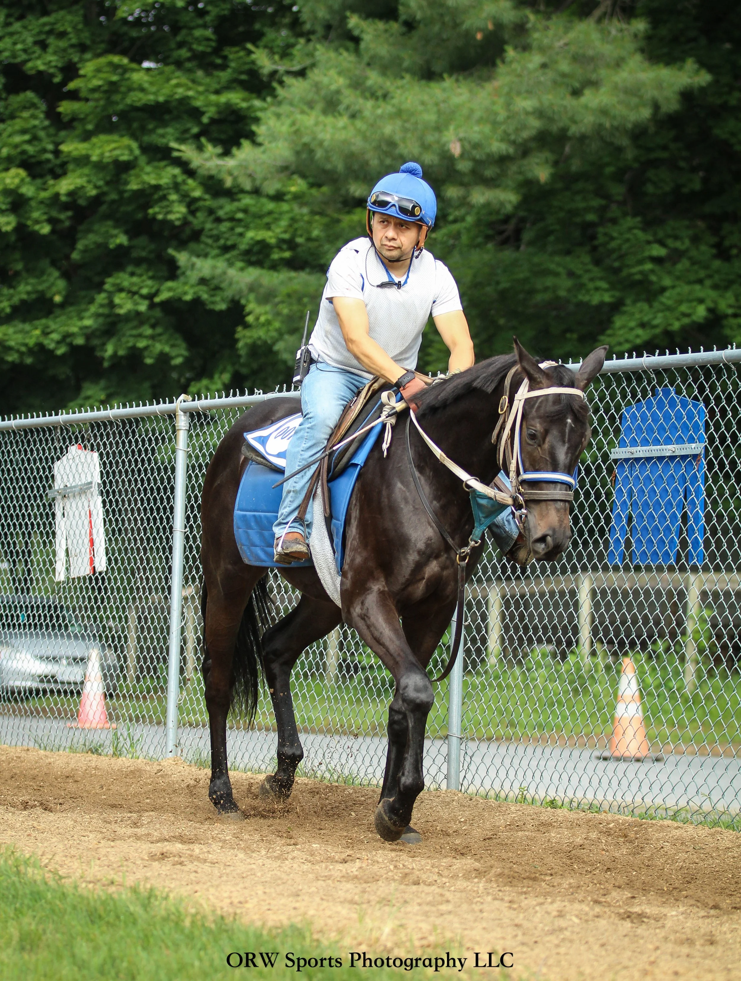 This Mendelsohn gelding arrivved at the stable yesterday as Gallina '24, and today, he is now named Grattamaco. 
