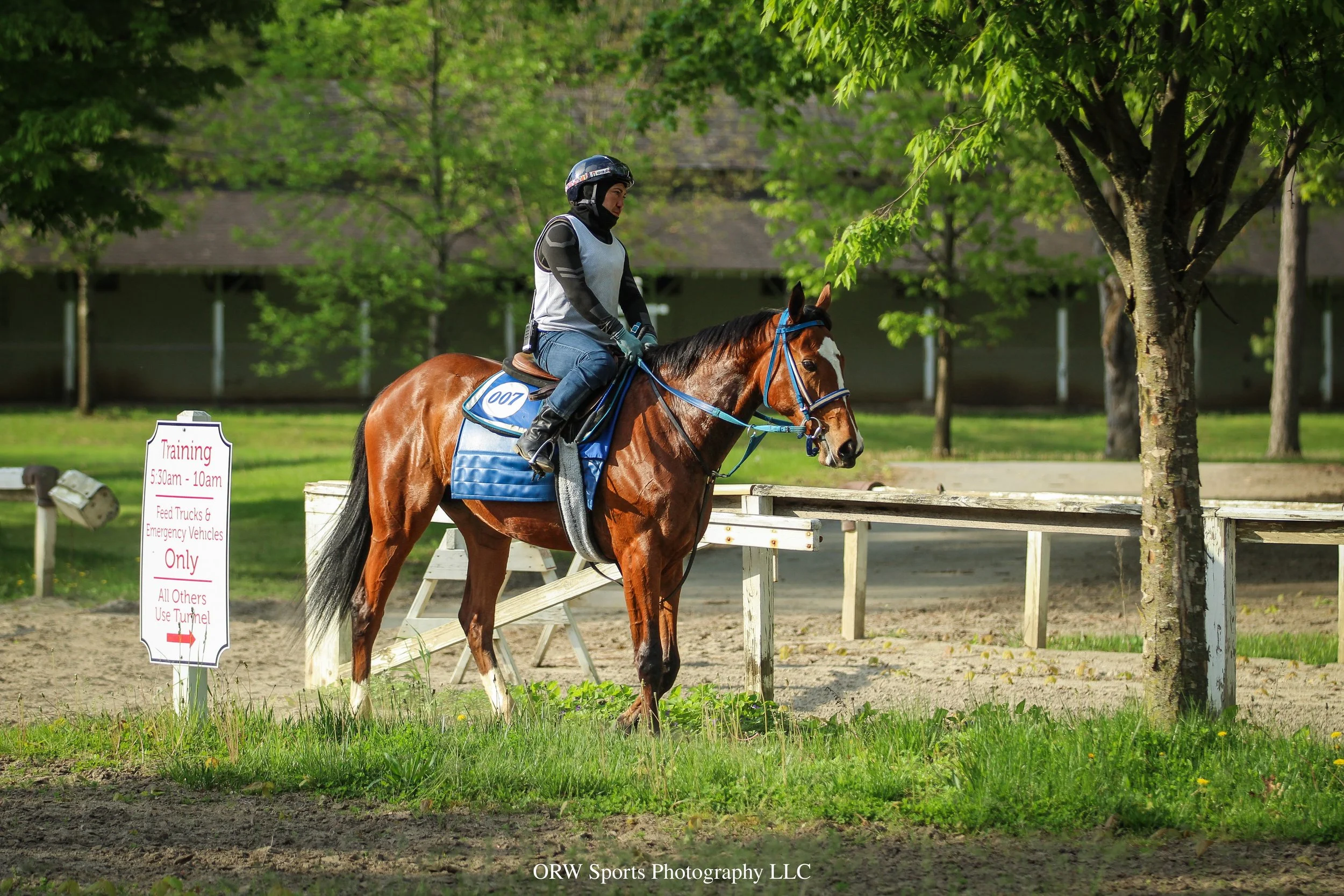 Tiz Justice (4).jpg