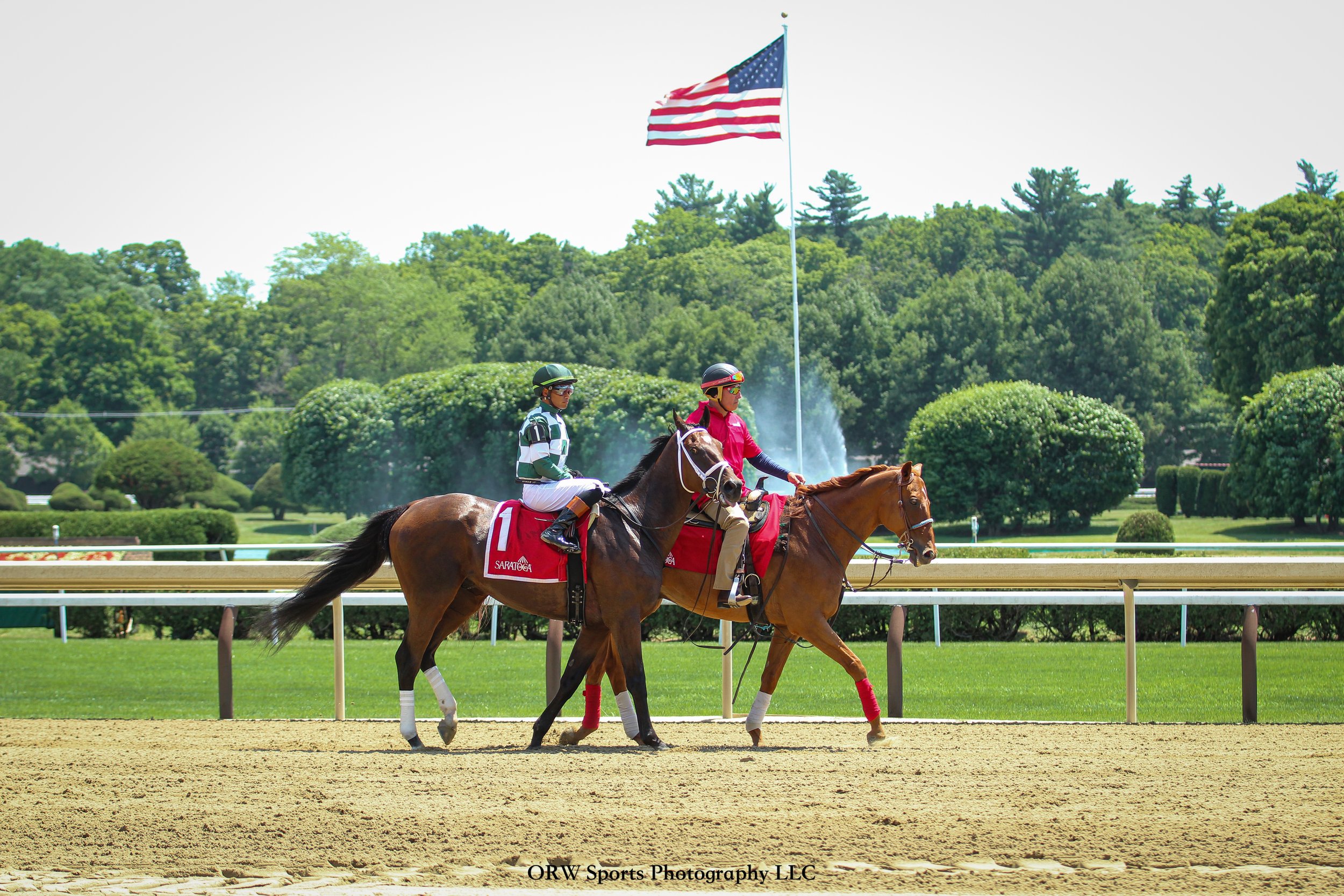 Nogradi and Martin Chuan