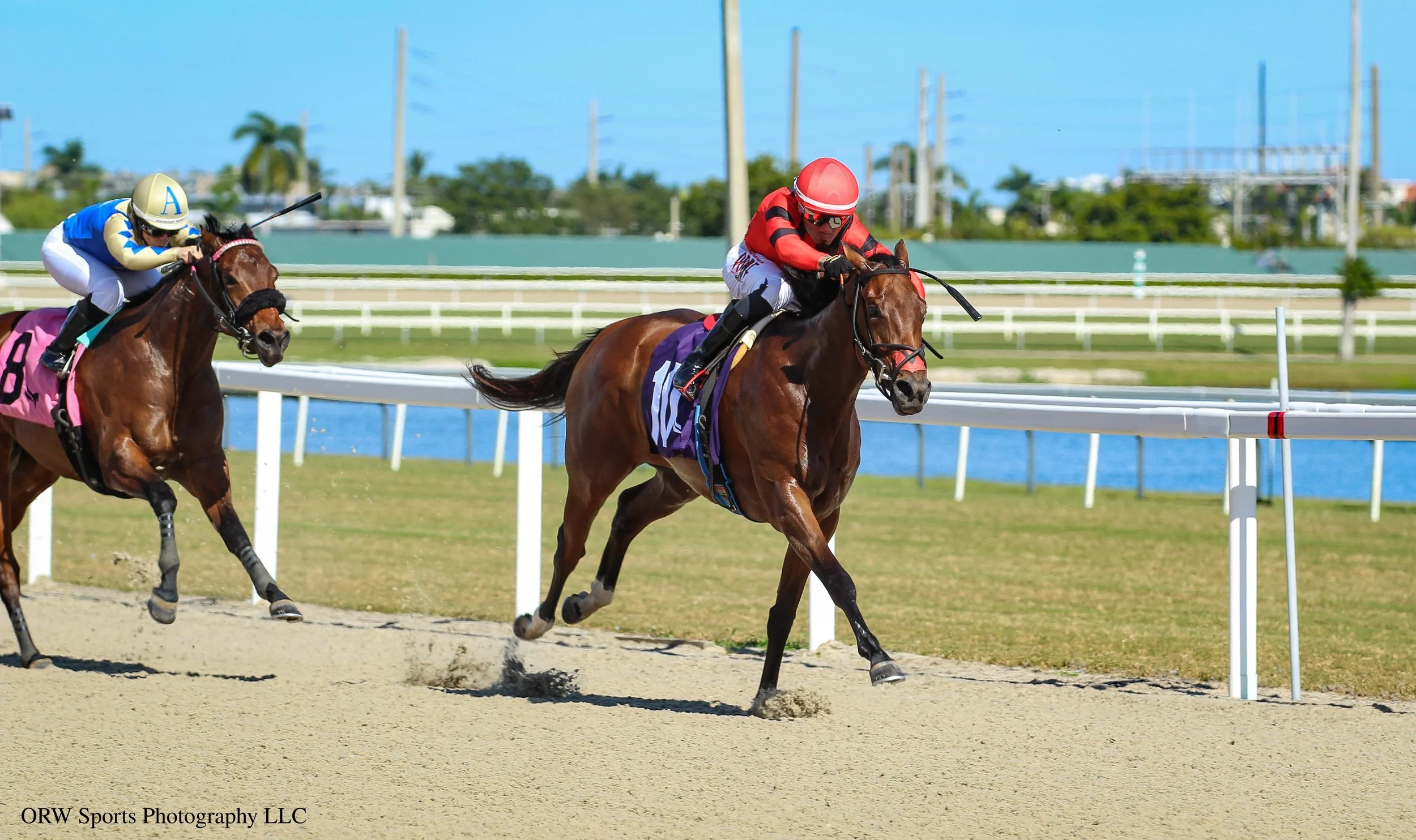 Fermi ahead of Relentless Lady 