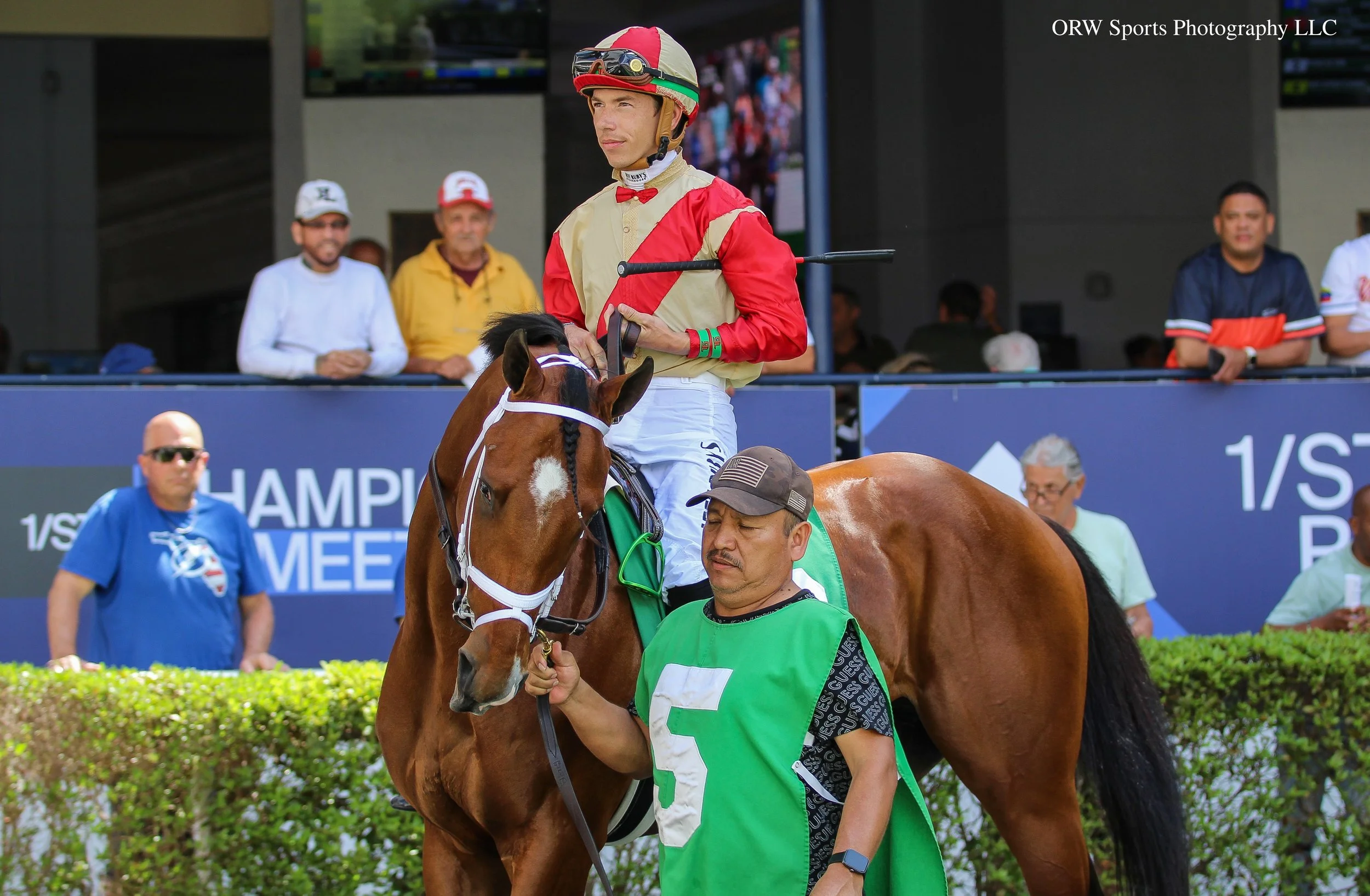 Halogen and Tyler Gaffalione 