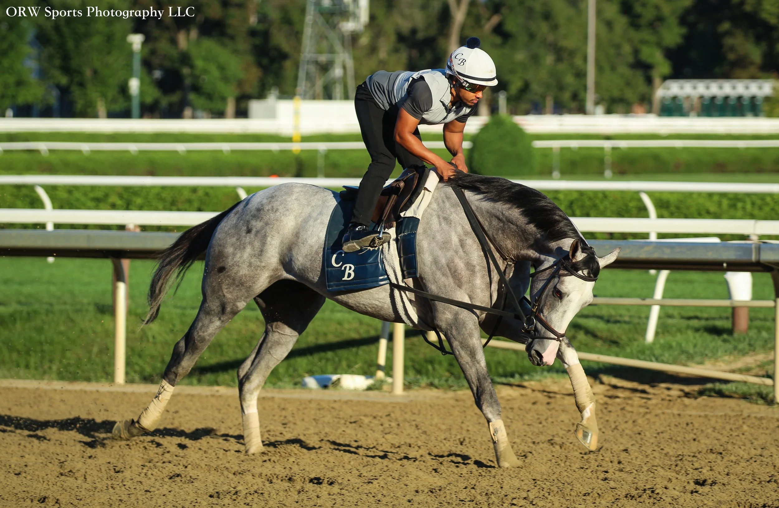 Chad Brown Trainee 