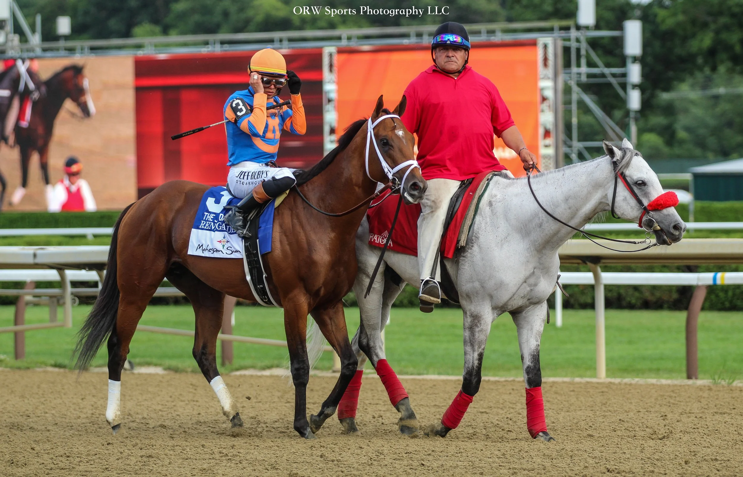 Renegade and Irad Ortiz Jr. During the post-parade, an obnoxious patron yelled: "Renegade, you're overrated!" 