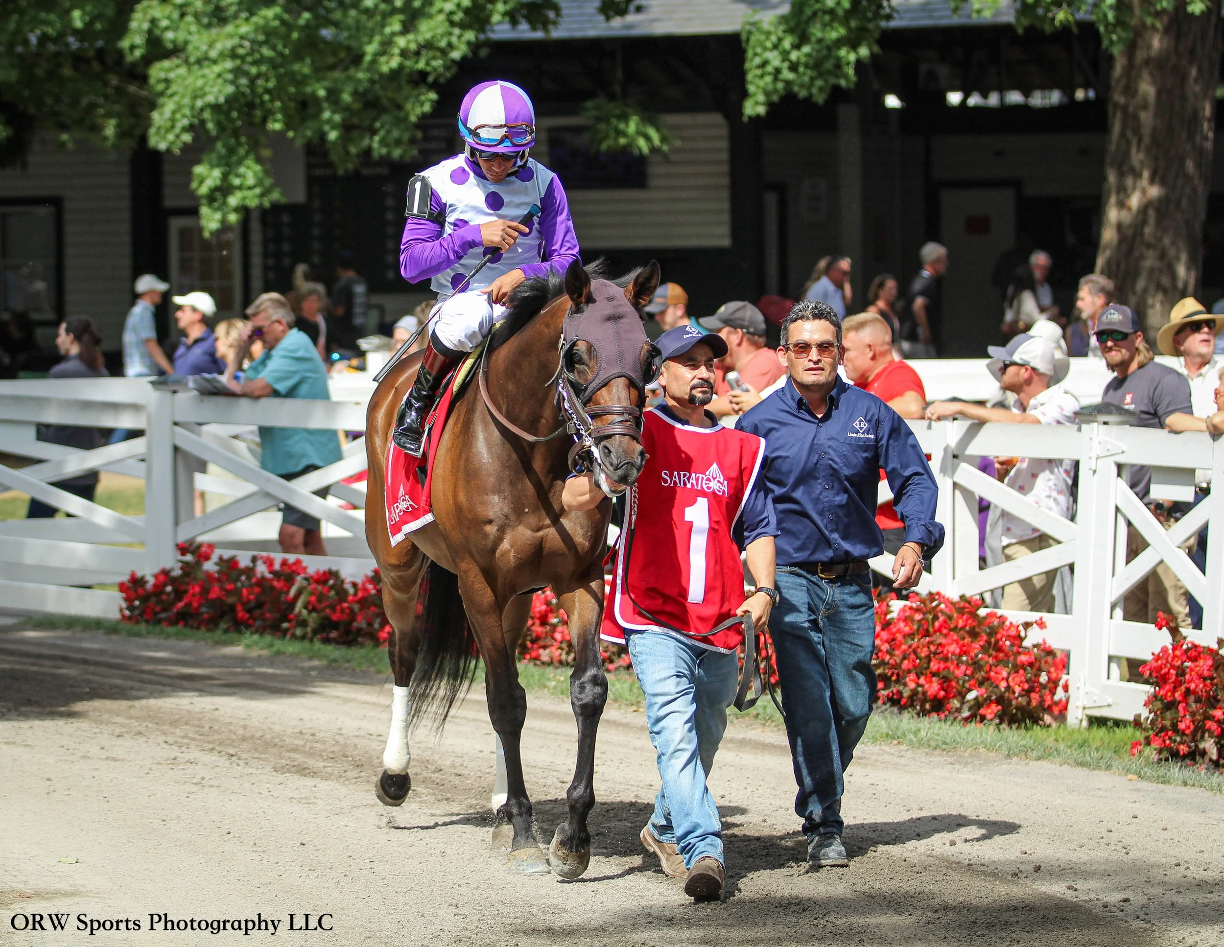 Waitlist and Jaime Rodriguez 