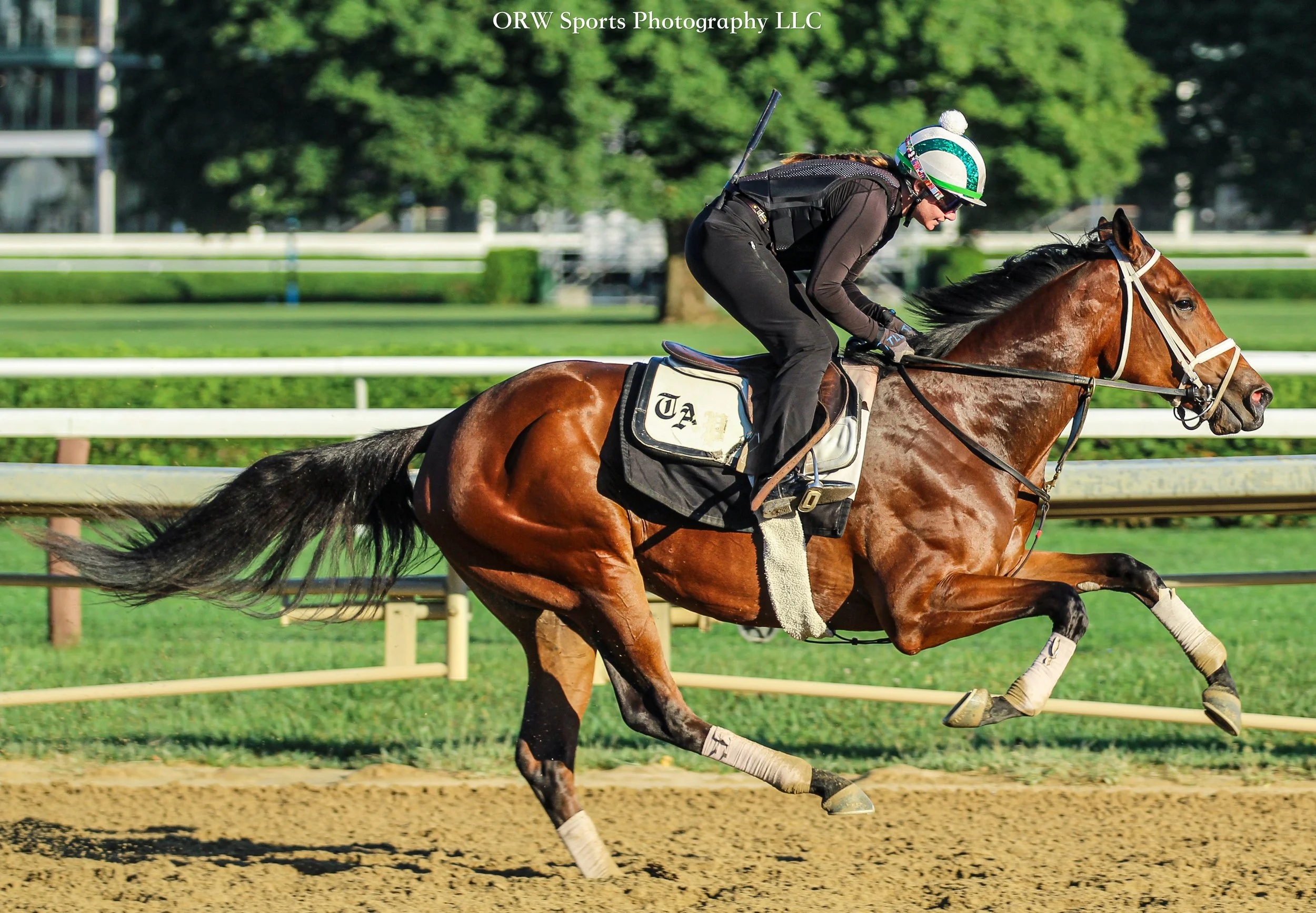 Todd Pletcher Trainee 