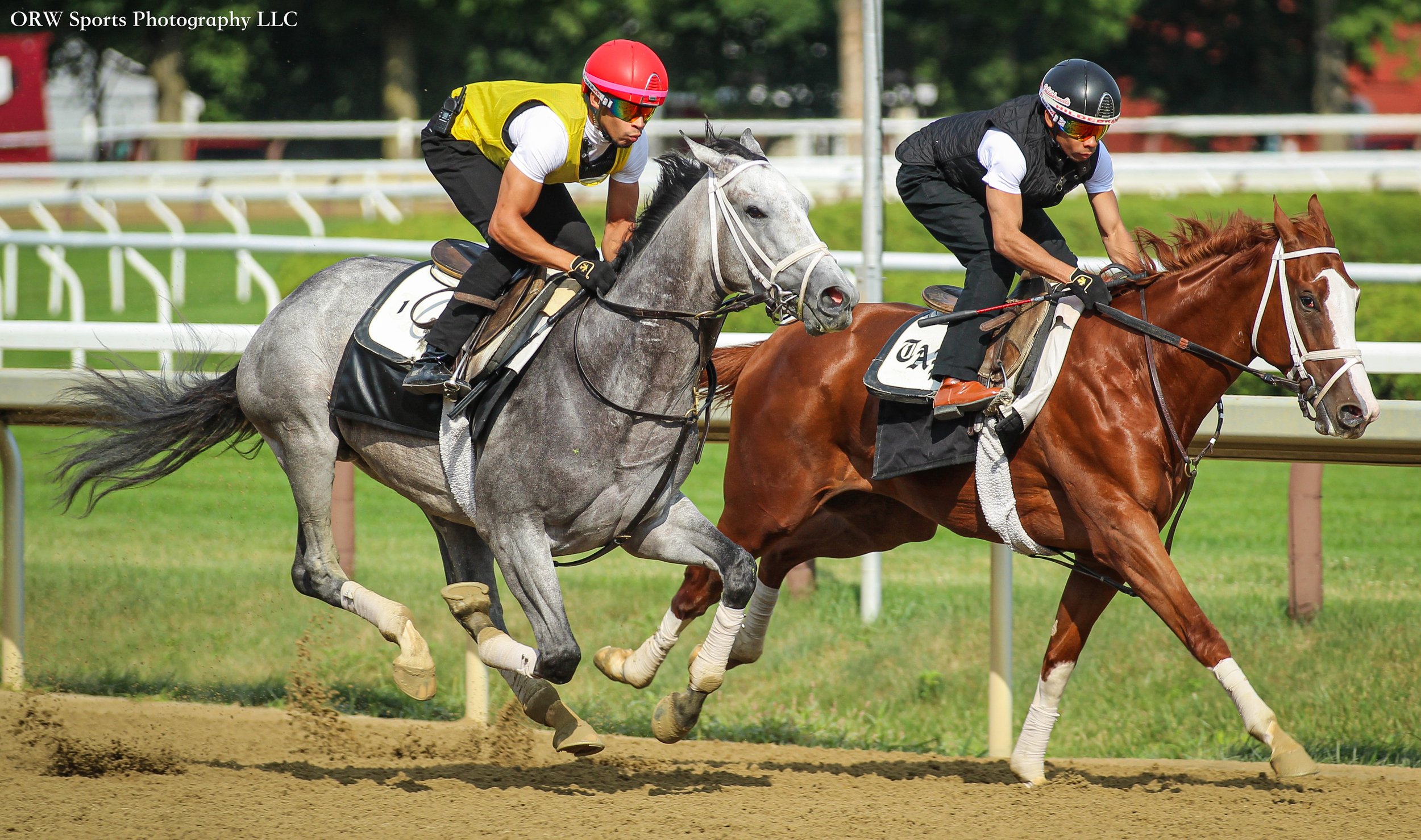 Todd Pletcher Trainees. Manny Franco aboard on the inside. 