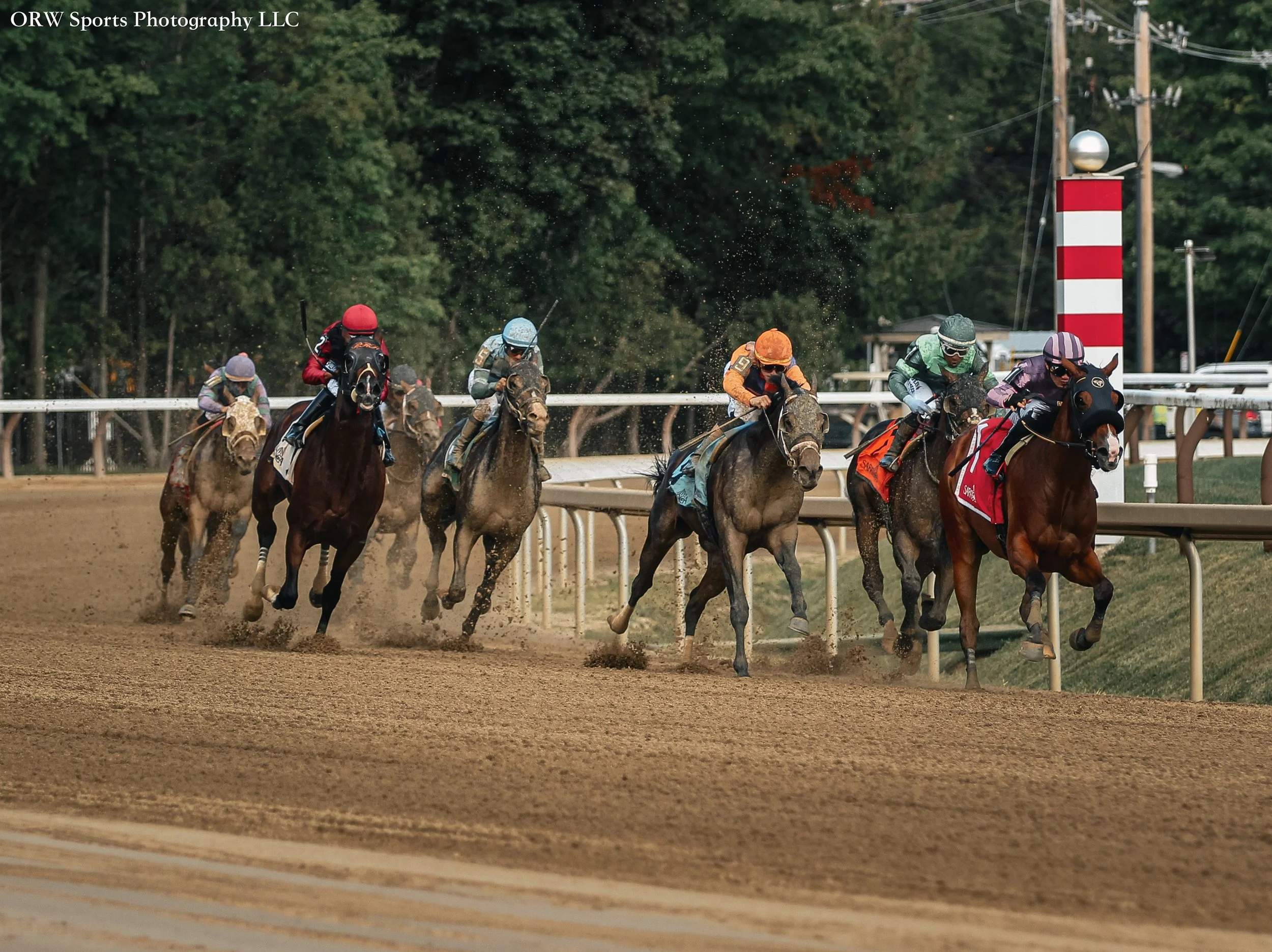 Race 7 