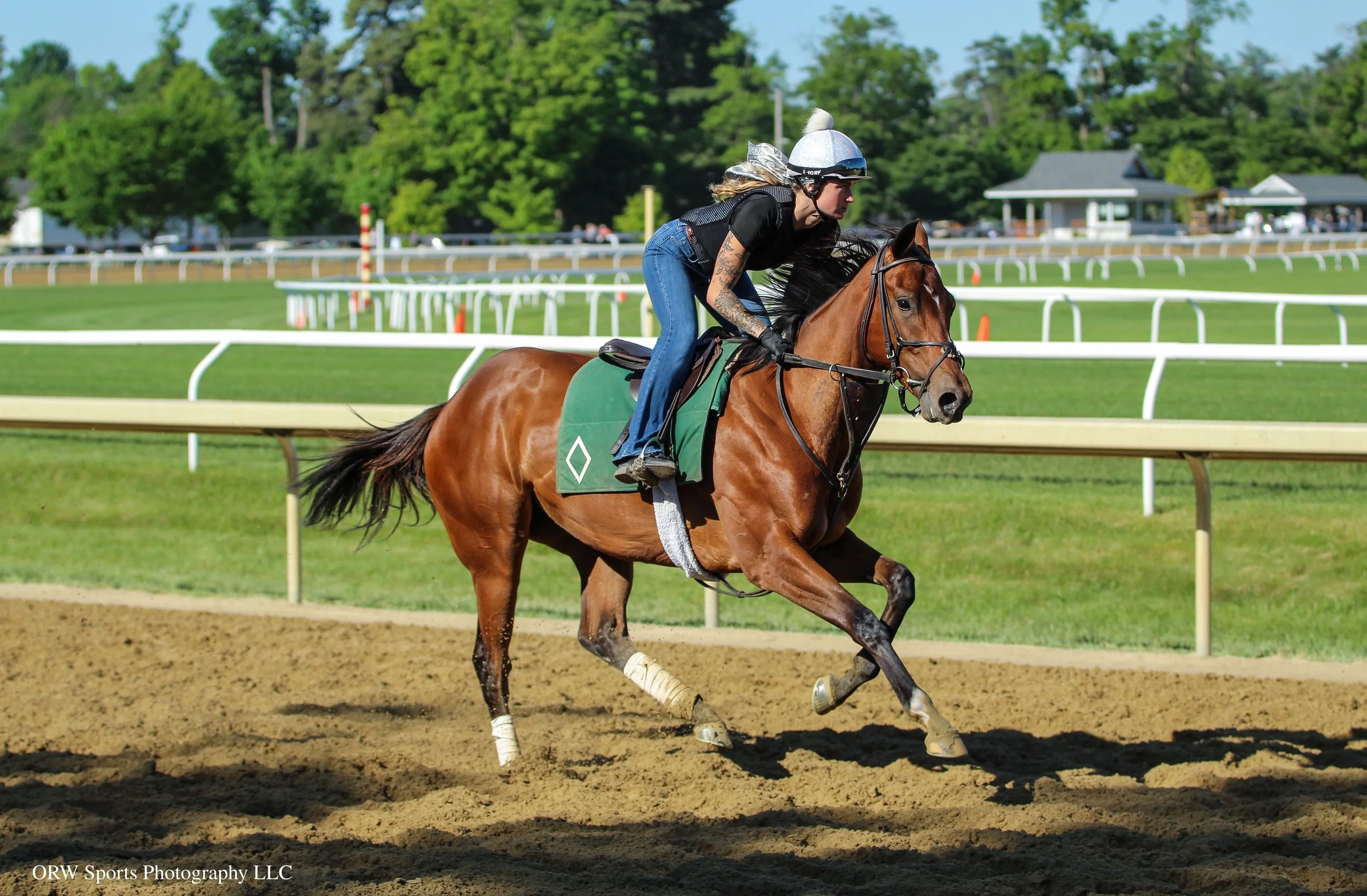 At the time of this publishing, Ellie has already posted her first four furlong workout. She went 49.5 and is looked amazing doing it. 