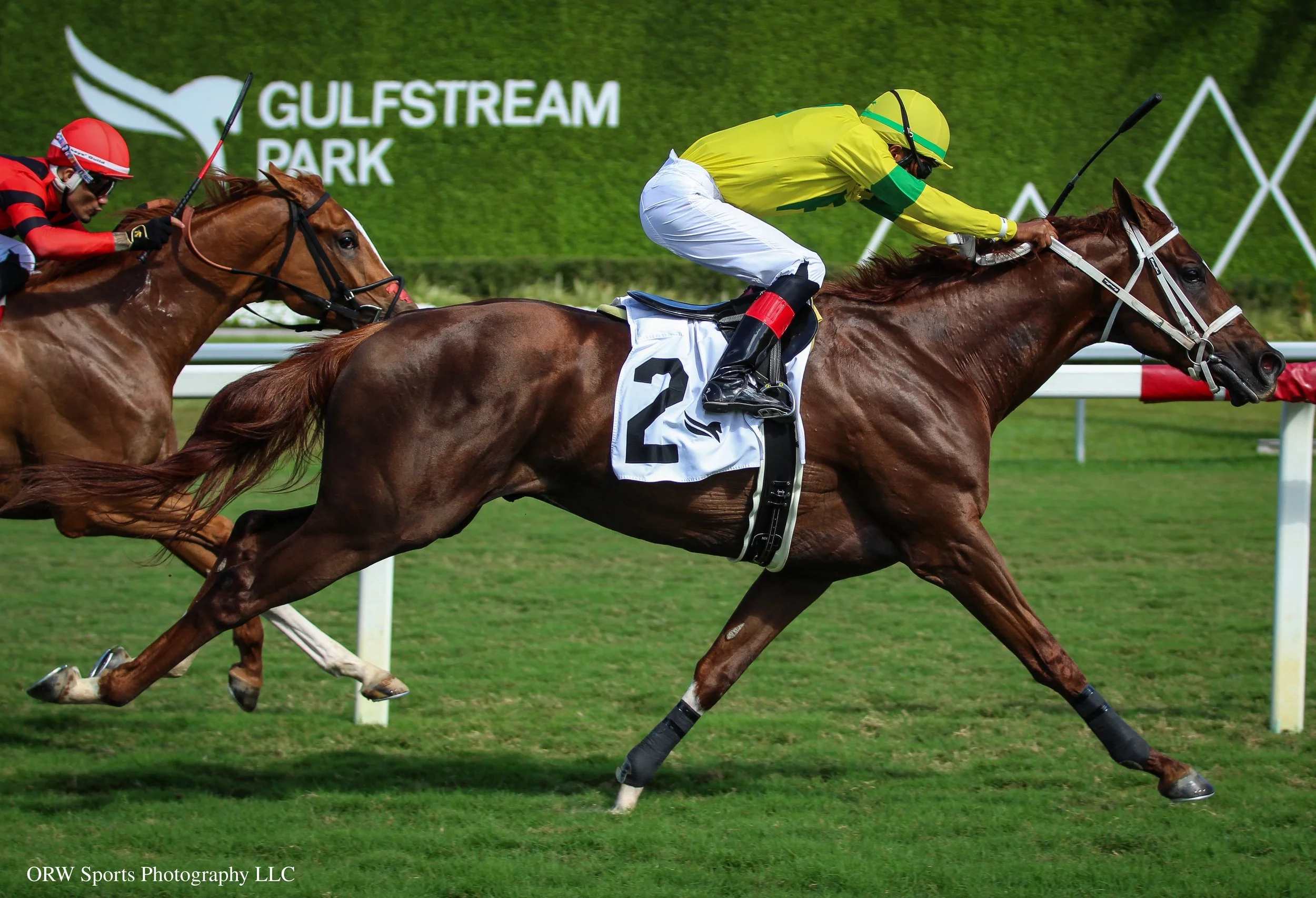 Ababajoni and Anthony Thomas 