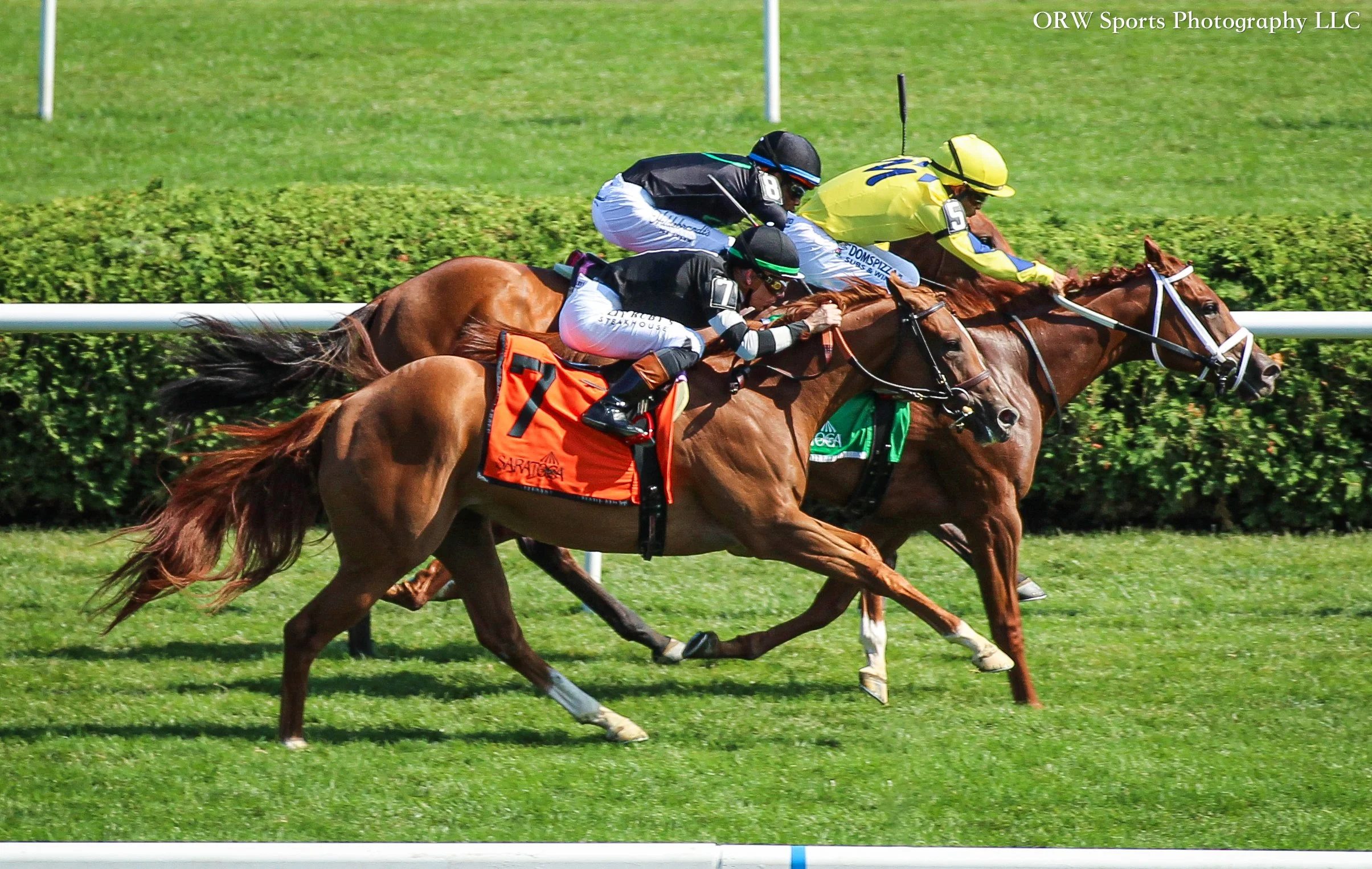 Runaway Bride and Tyler Gaffalione arrive on scene in the closing stages to get the win first time out. 