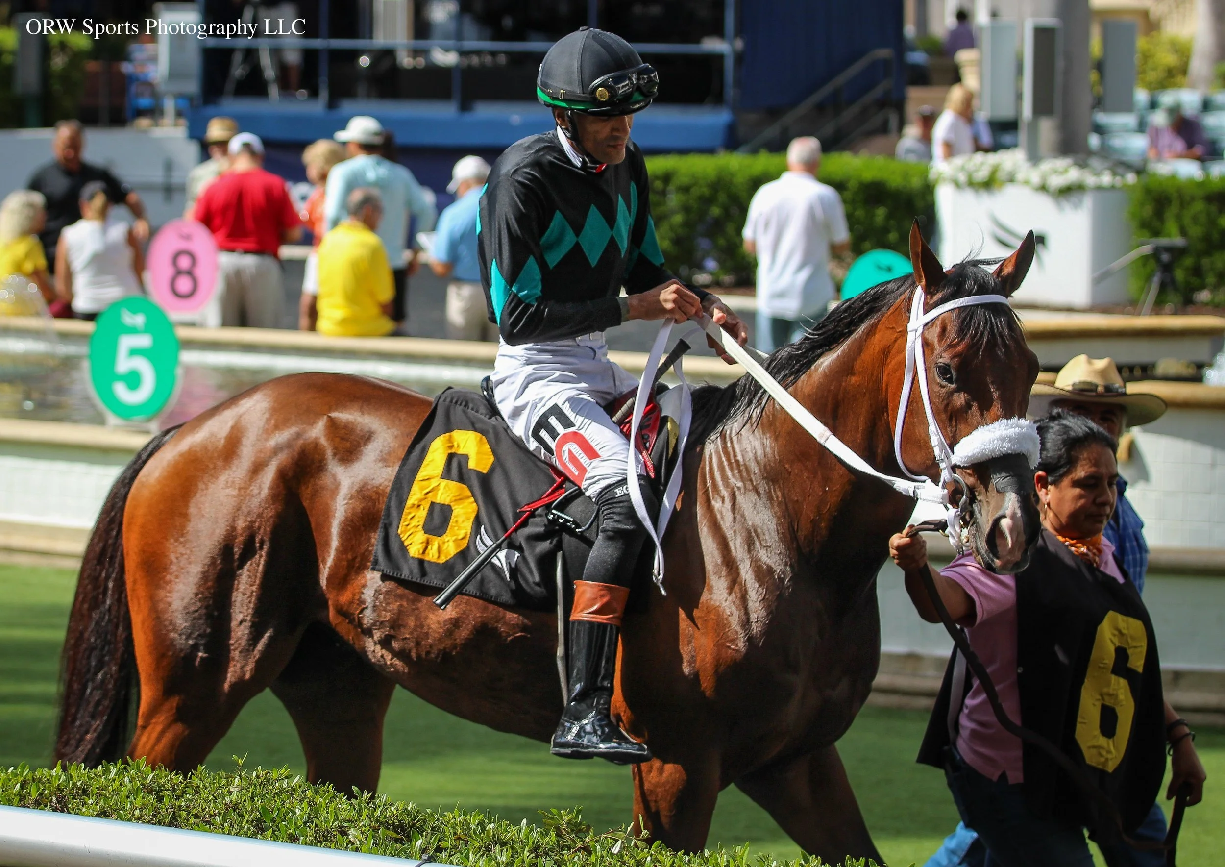 Speed Figures and Edwin Gonzalez (1).jpg