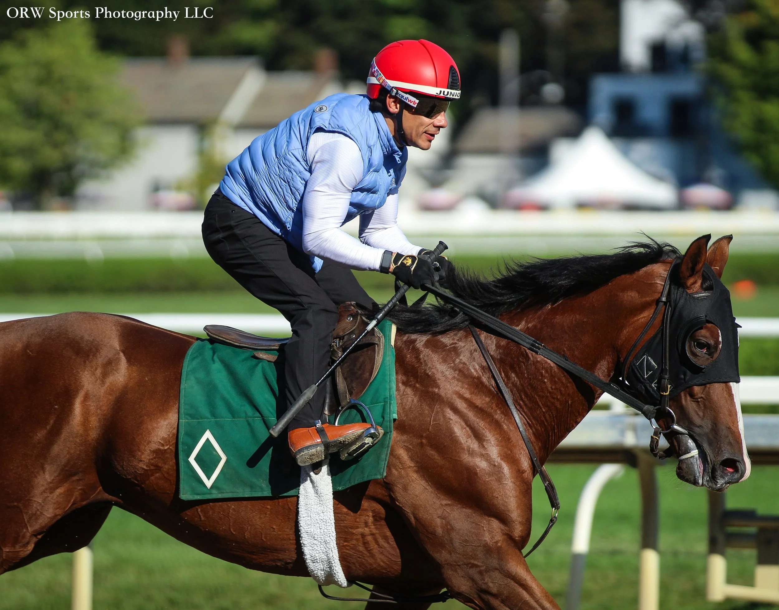Suspend and Junior Alvarado 