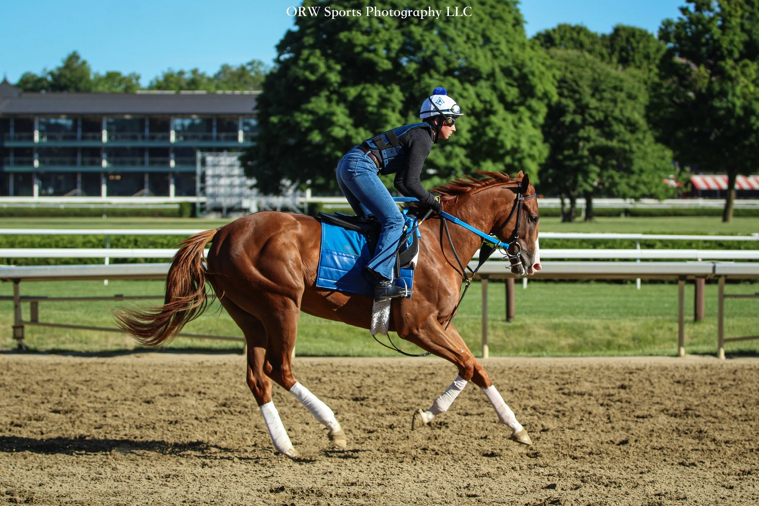 Steve Asmussen Trainee 