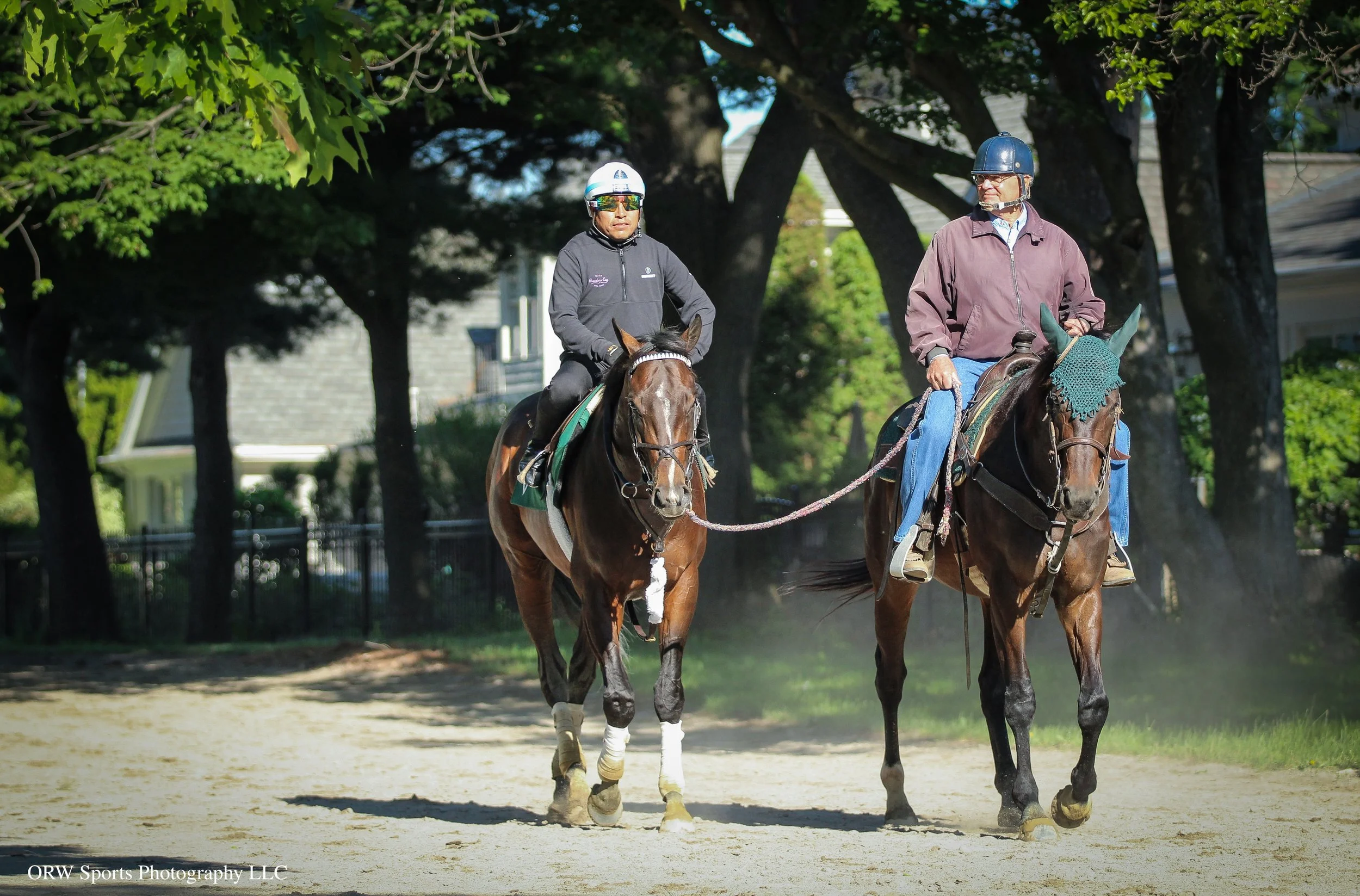 Bill Mott ponies Sovereignty (2).jpg