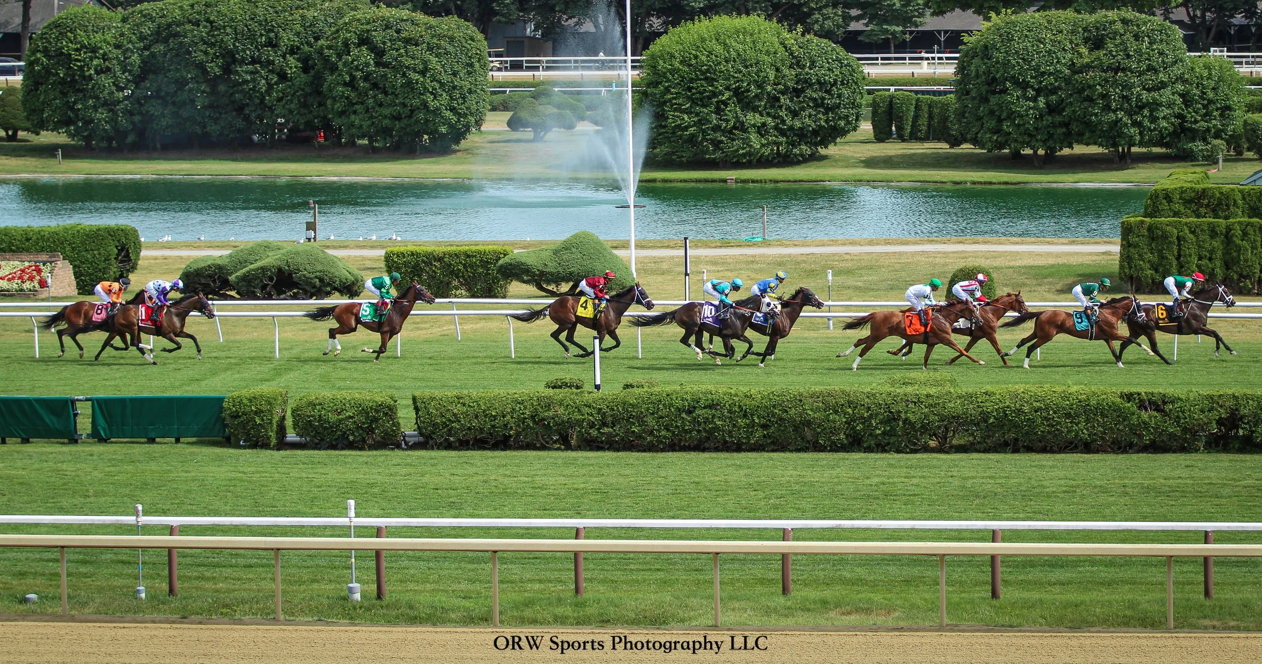 Race 6 