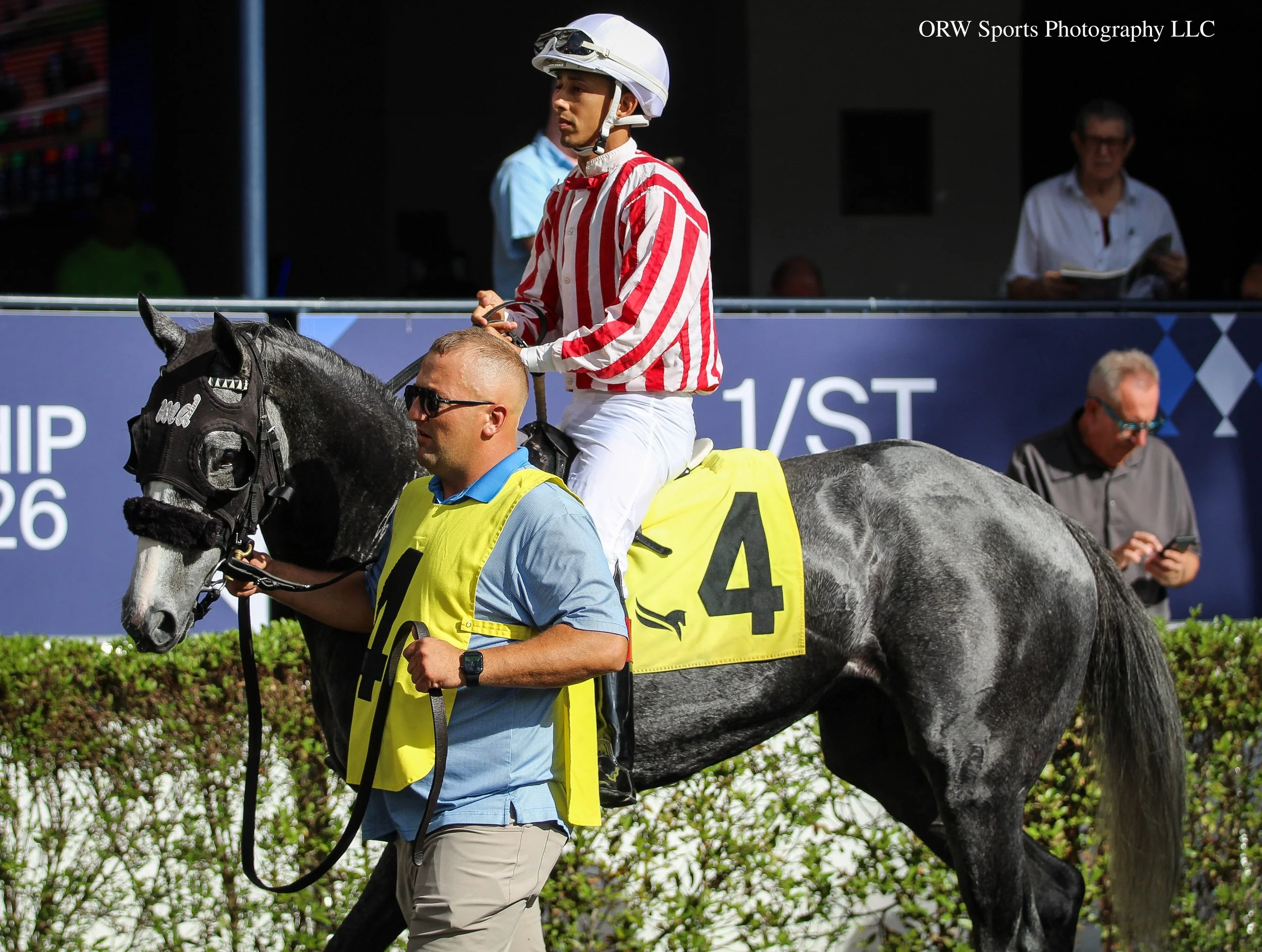 Logistics and Edgard Zayas 