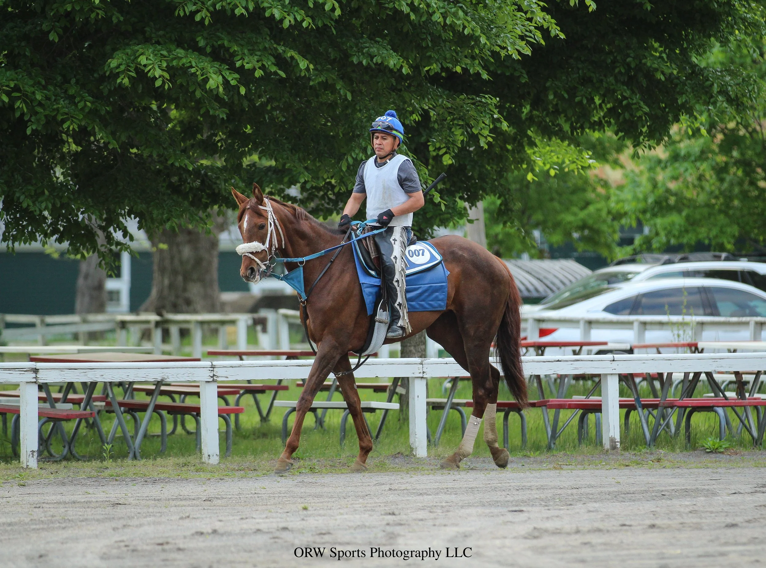Roagna. She is expected to make her first start of the year on May 24th at Belmont At the Big A.  She recently breezed four furlongs in 49.95. 