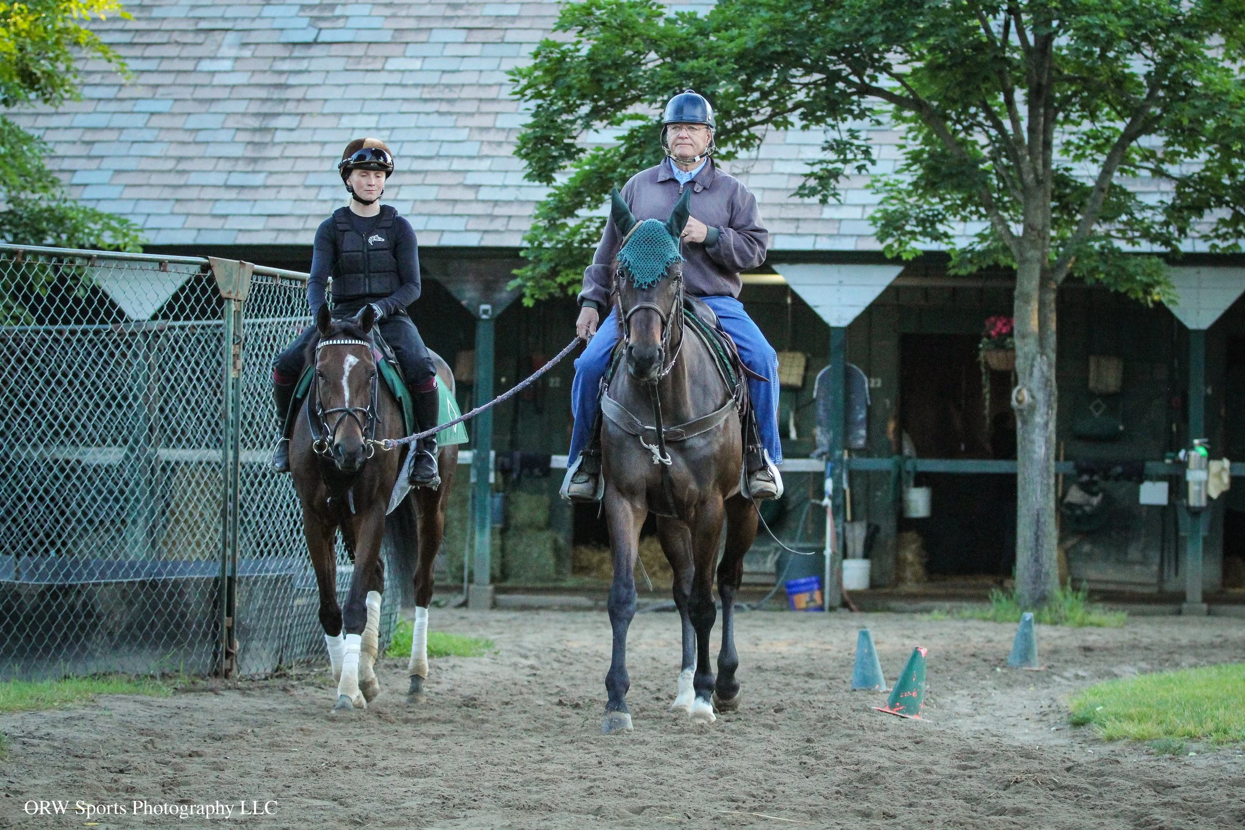 Bill Mott ponies Gezora(1).jpg