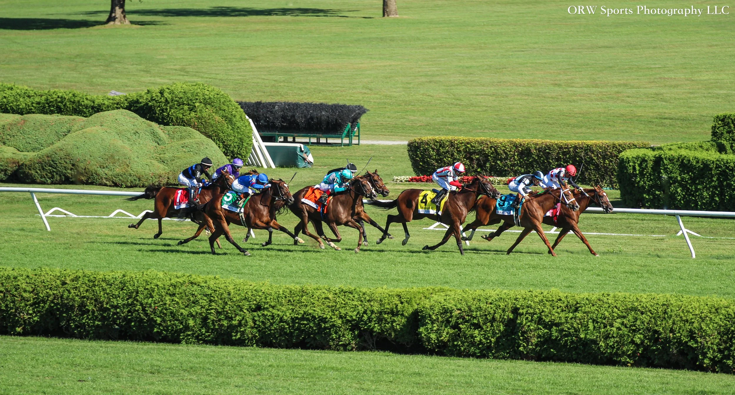 The Grade 2 Lake Placid Stakes