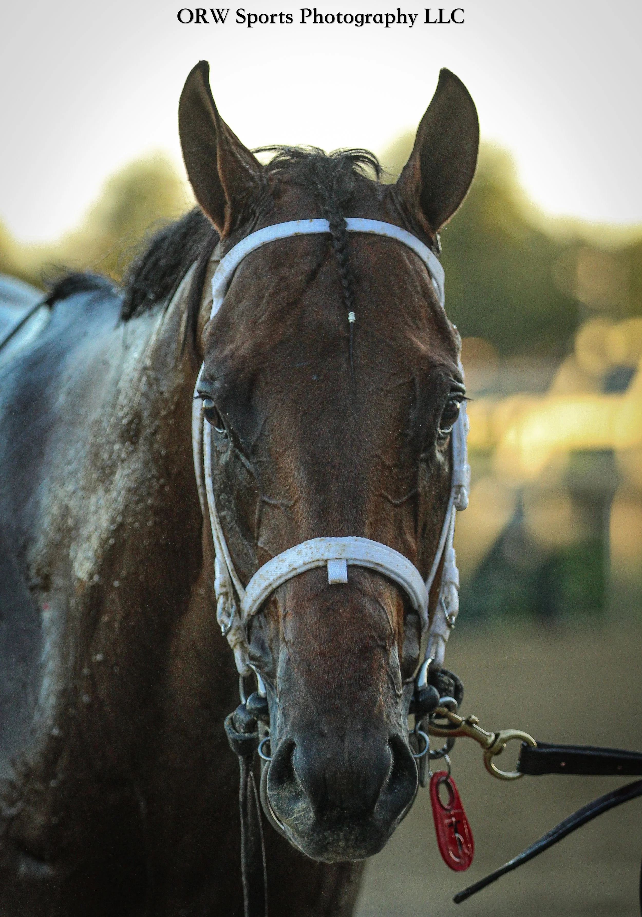 Our Travers Winner: Leading Change 