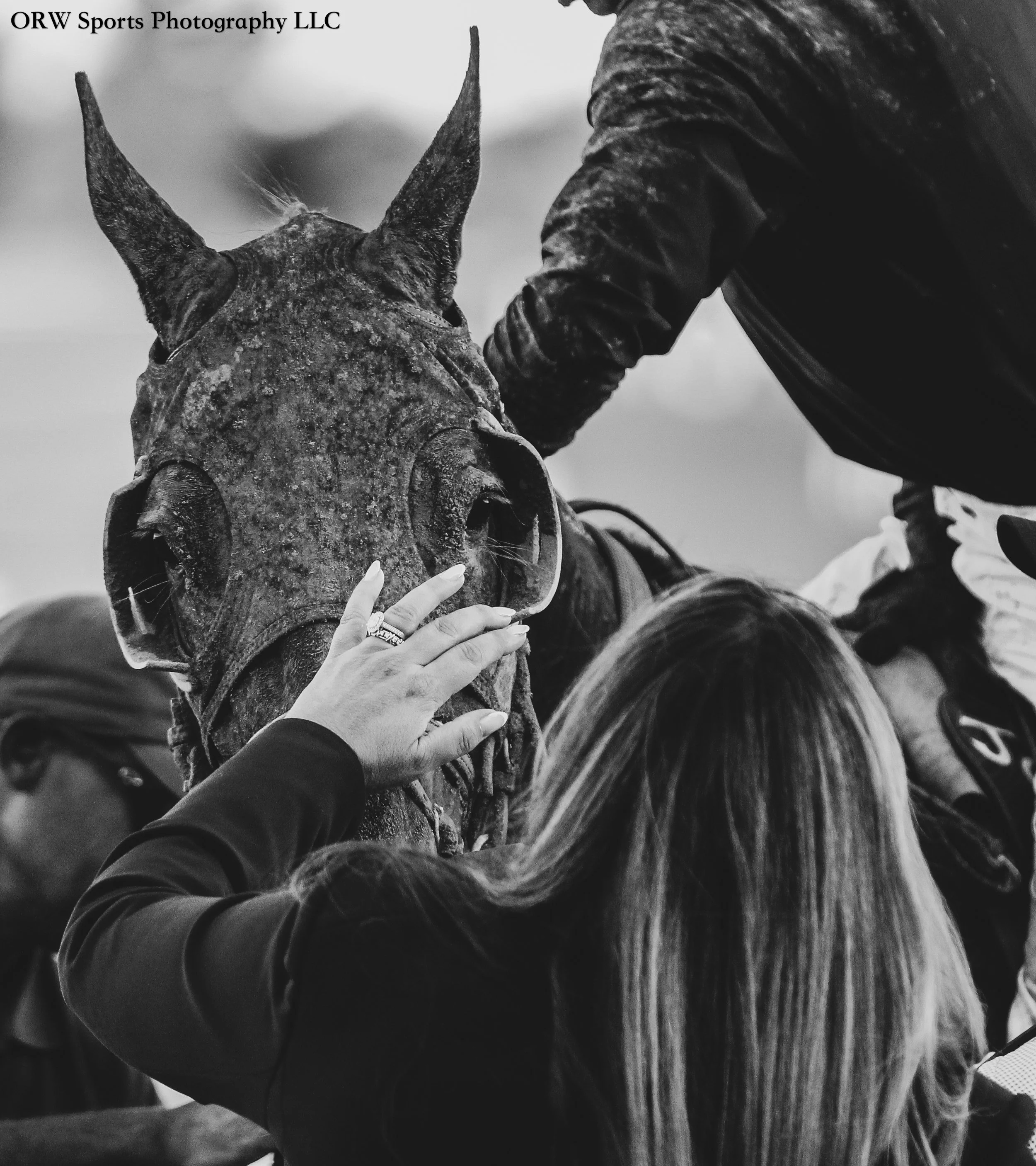 its always for the love of the horse 