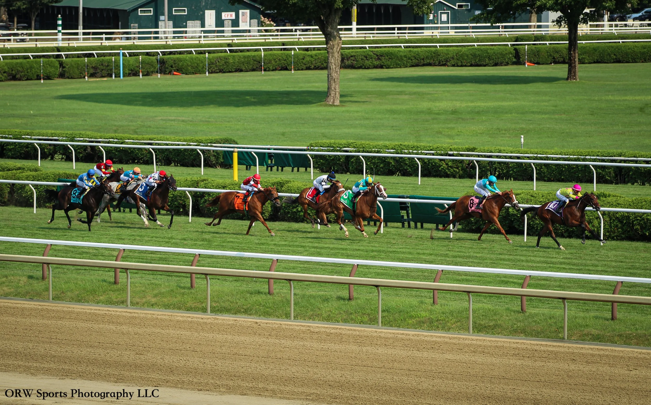 Race 6 