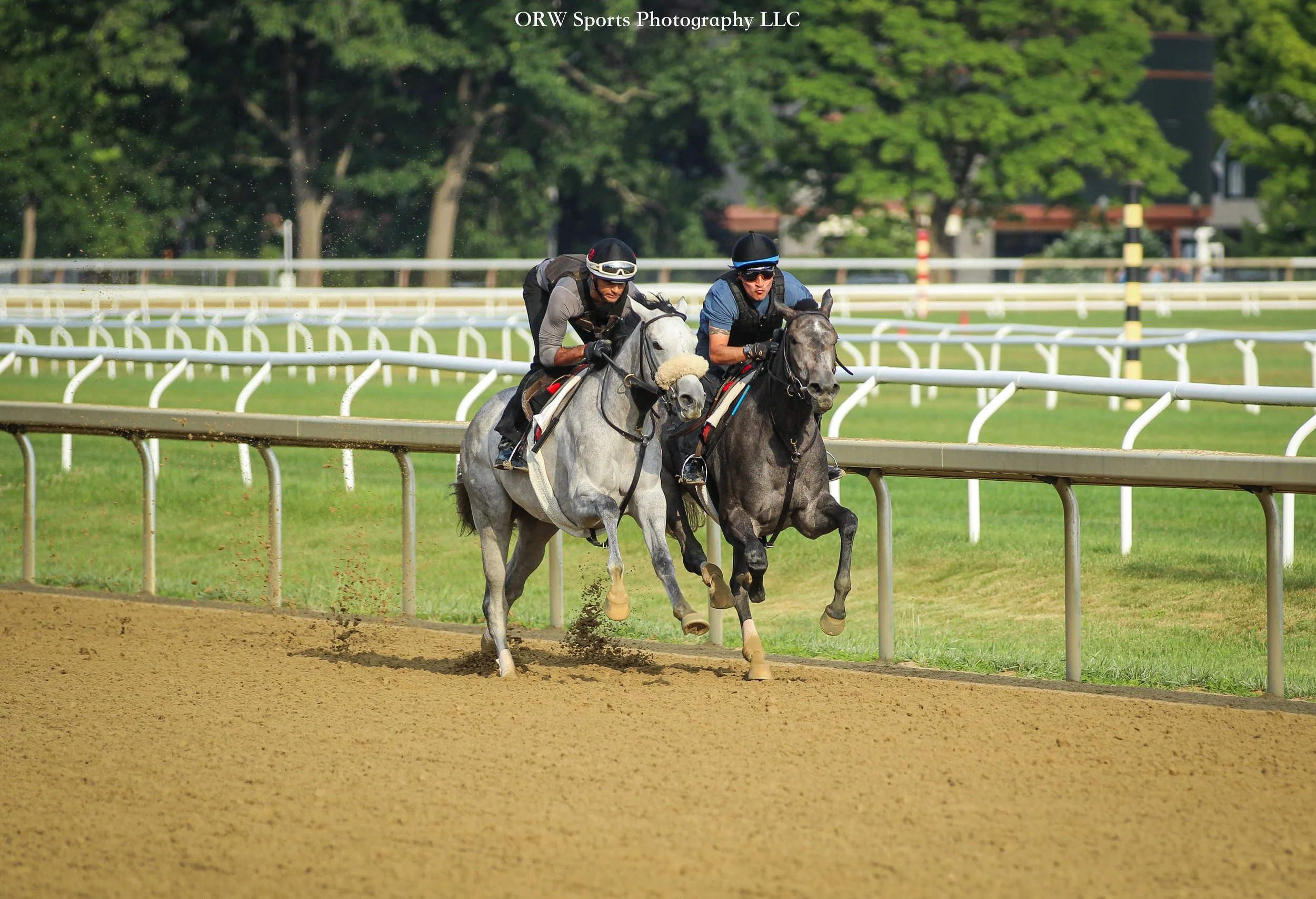 Shug McGaughey Trainees