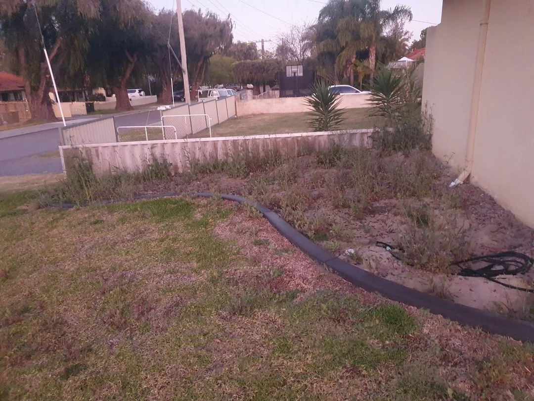 Before and after in lockridge 👌
✔️cleanup weeds
✔️2 loads of landscape mix 
✔️netafirm stakes run off 19mm poly
 ✔️plants : little rev; agave; winter glow; star Jasmine; lilly pilly 
✔️black mulch to finish