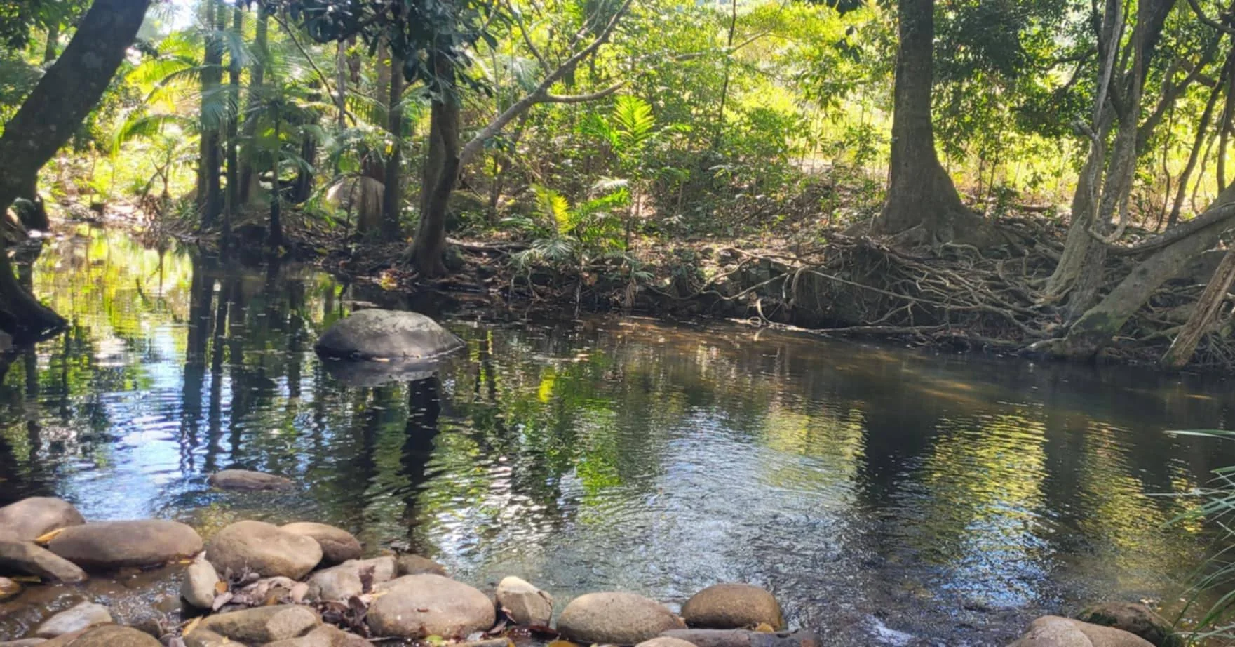 ✨ Boulder Creek Magic ✨

Before arriving at Shambahla for the retreat, I stopped in at one of my favourite places in nature &mdash; Boulder Creek. It&rsquo;s been far too long since I last visited, and the moment I arrived I felt my whole energy shif