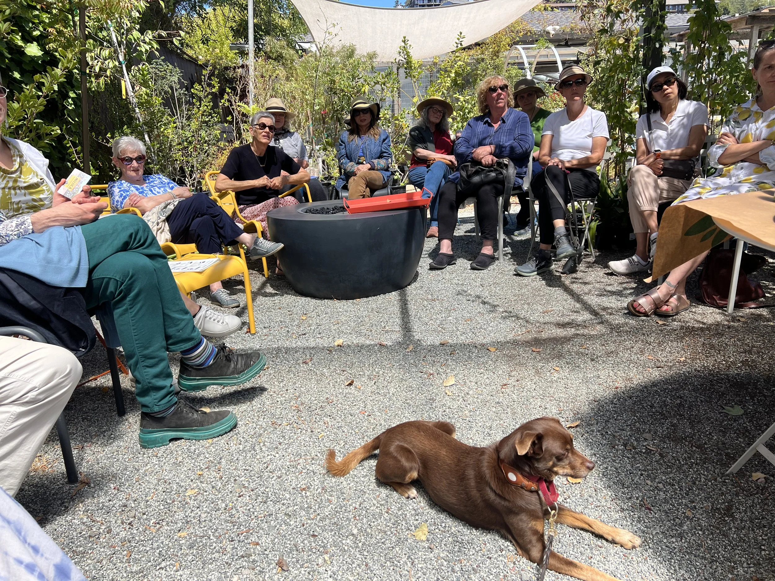 Book Reading with Italian students. Tiburon, Ca.