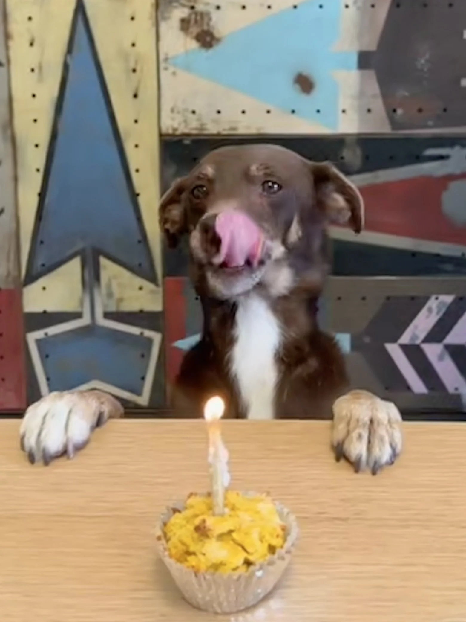 Birthday celebrations