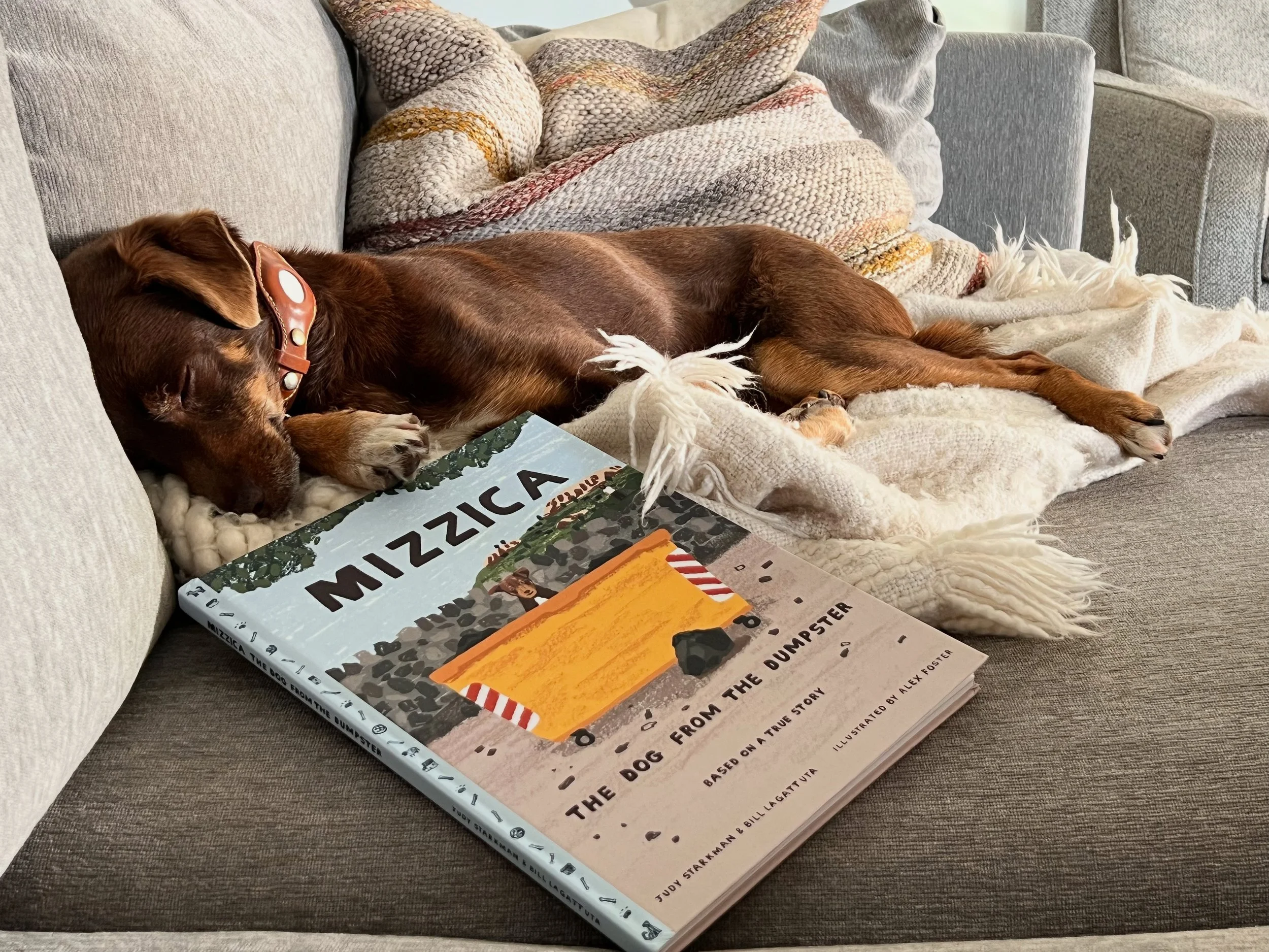The perfect bedtime story for all ages!