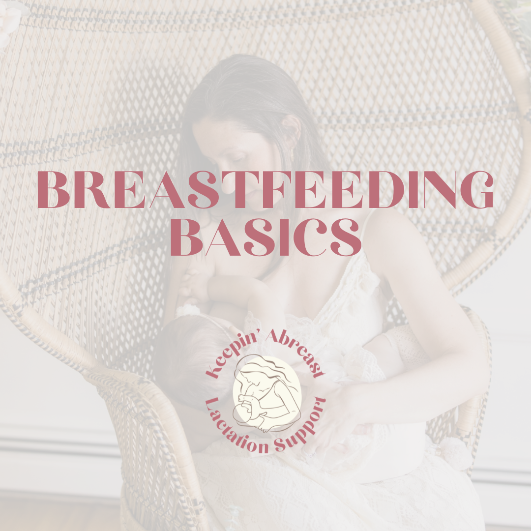 Breastfeeding Basics Class.png