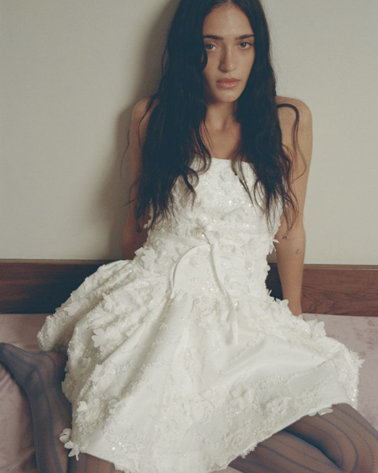 Short Embroidered Bustier Dress