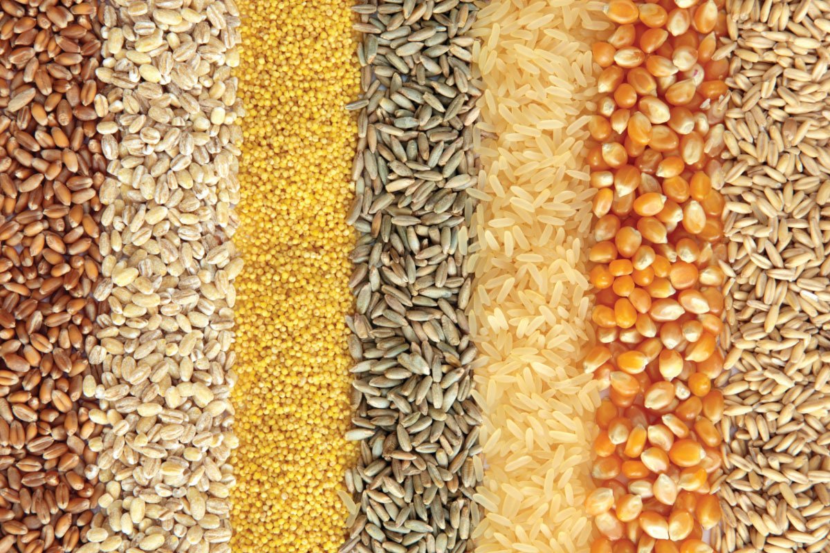 what are commodities?