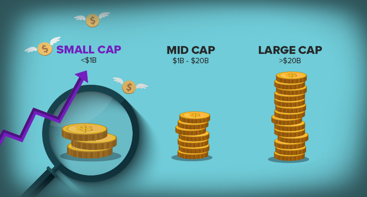 what is small cap investing?