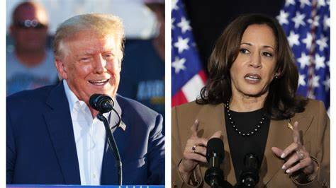 how will the US election effect our markets?